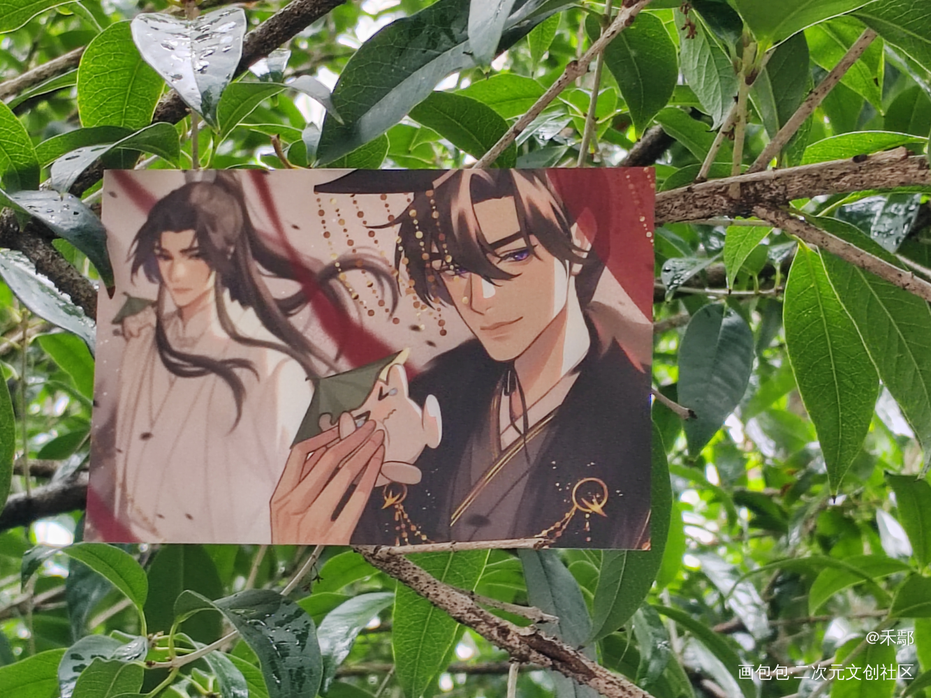 _二哈和他的白猫师尊无料返图绘画作品