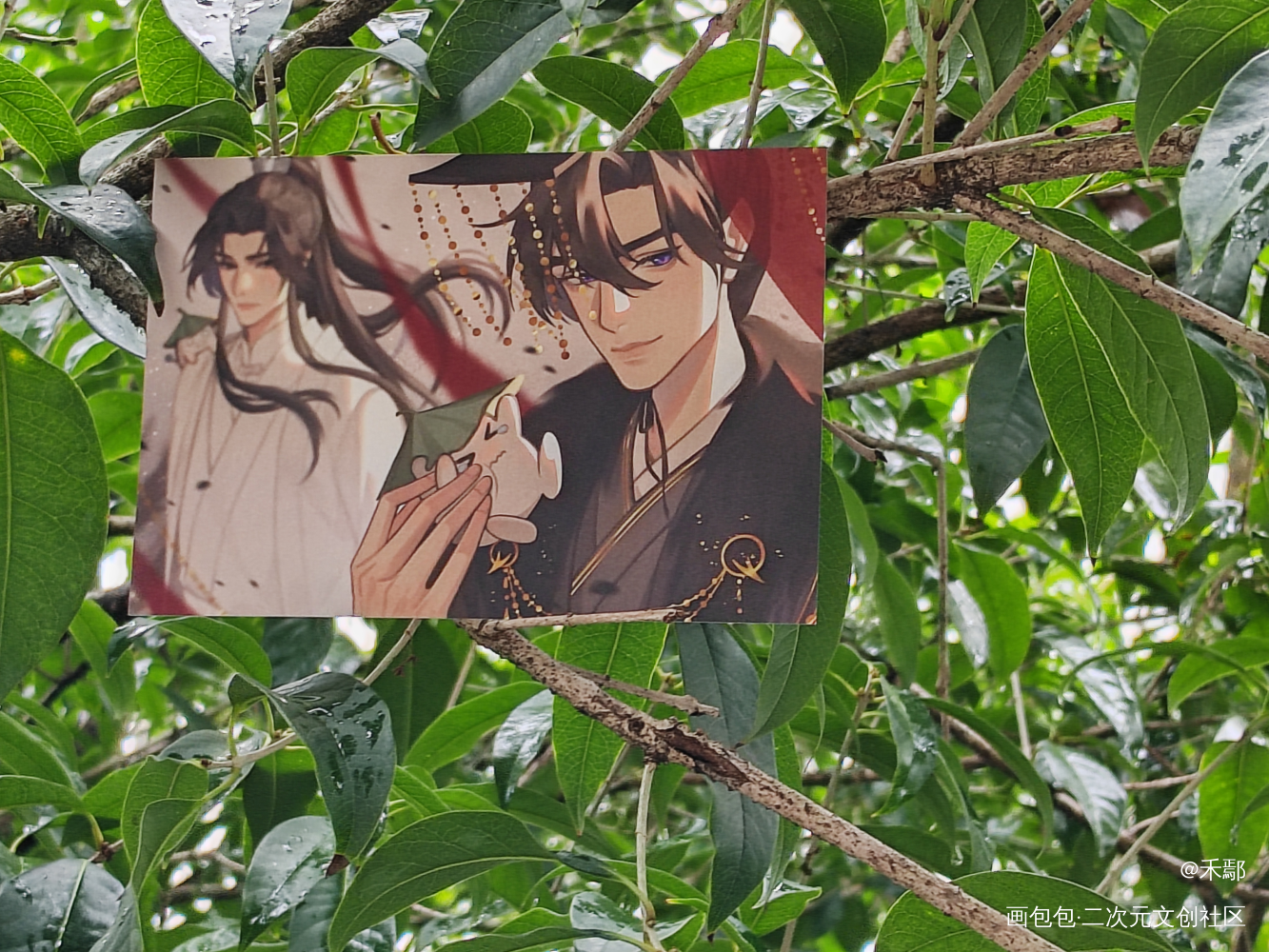 _二哈和他的白猫师尊无料返图绘画作品