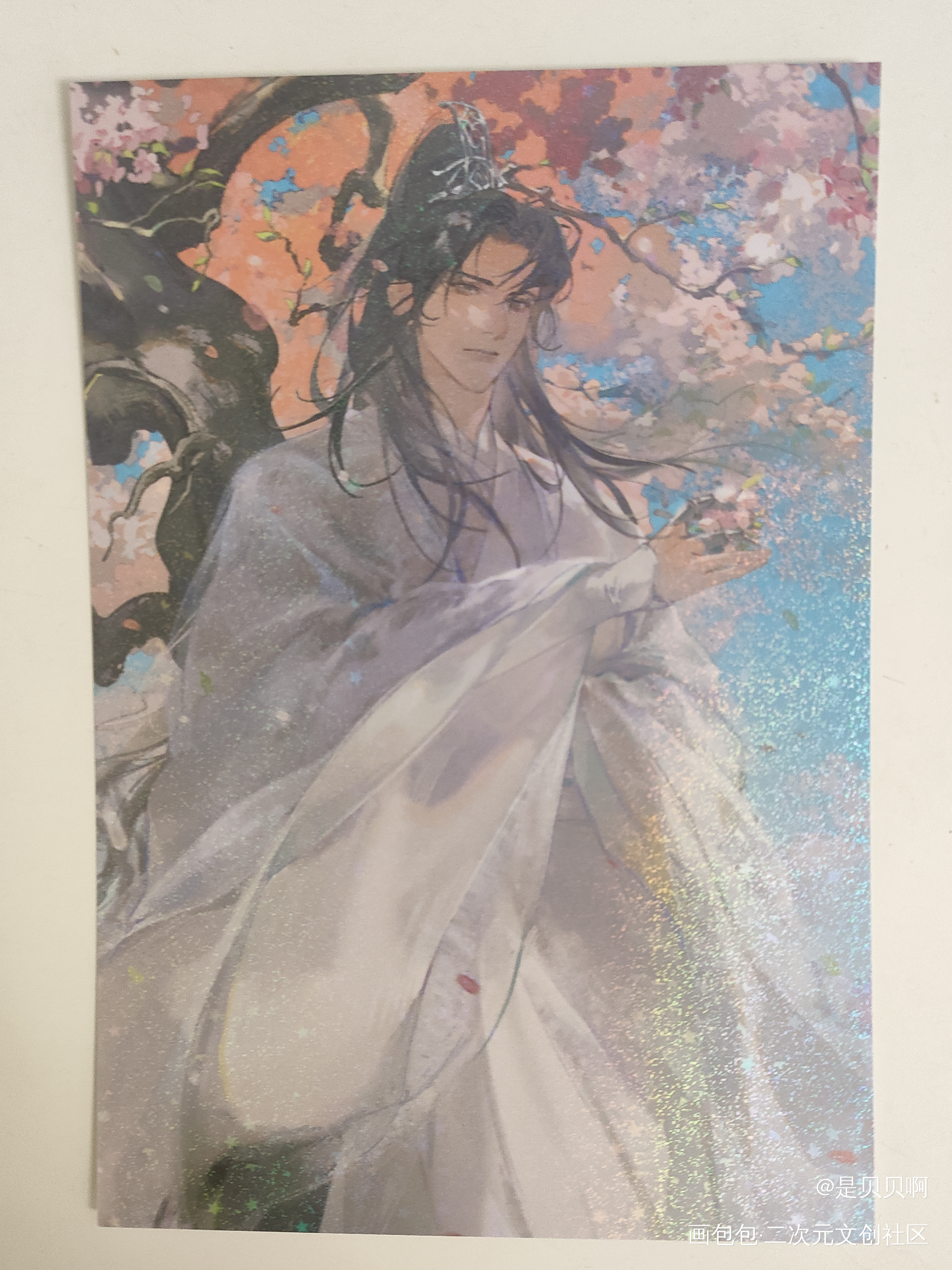 _二哈和他的白猫师尊无料返图绘画作品