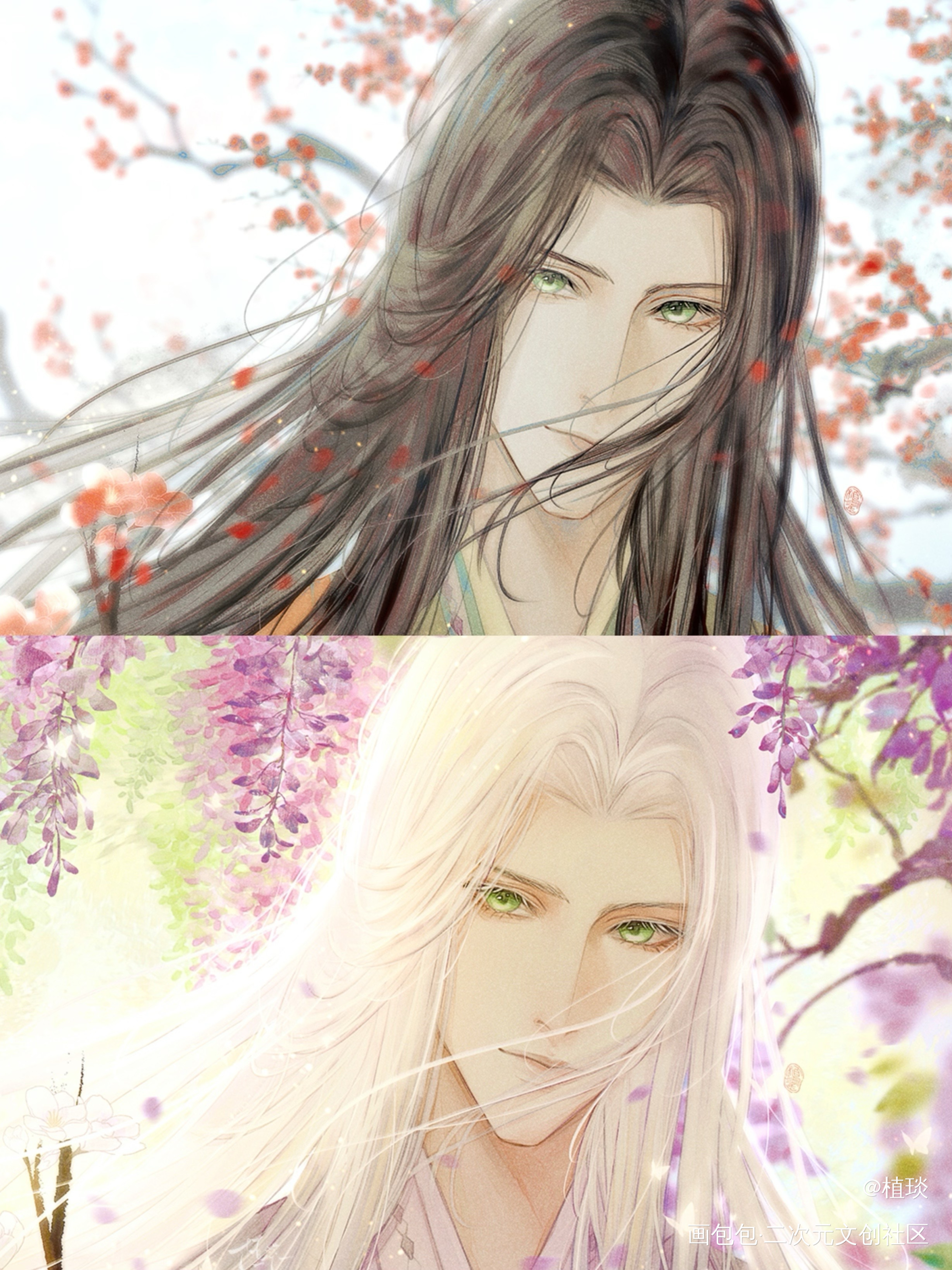 双色花_代号鸢左慈·代号鸢姬晋·代号鸢创作日常绘画作品
