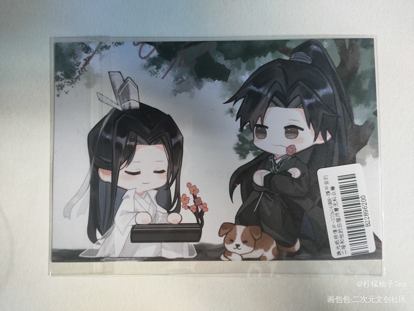 _二哈和他的白猫师尊无料返图绘画作品