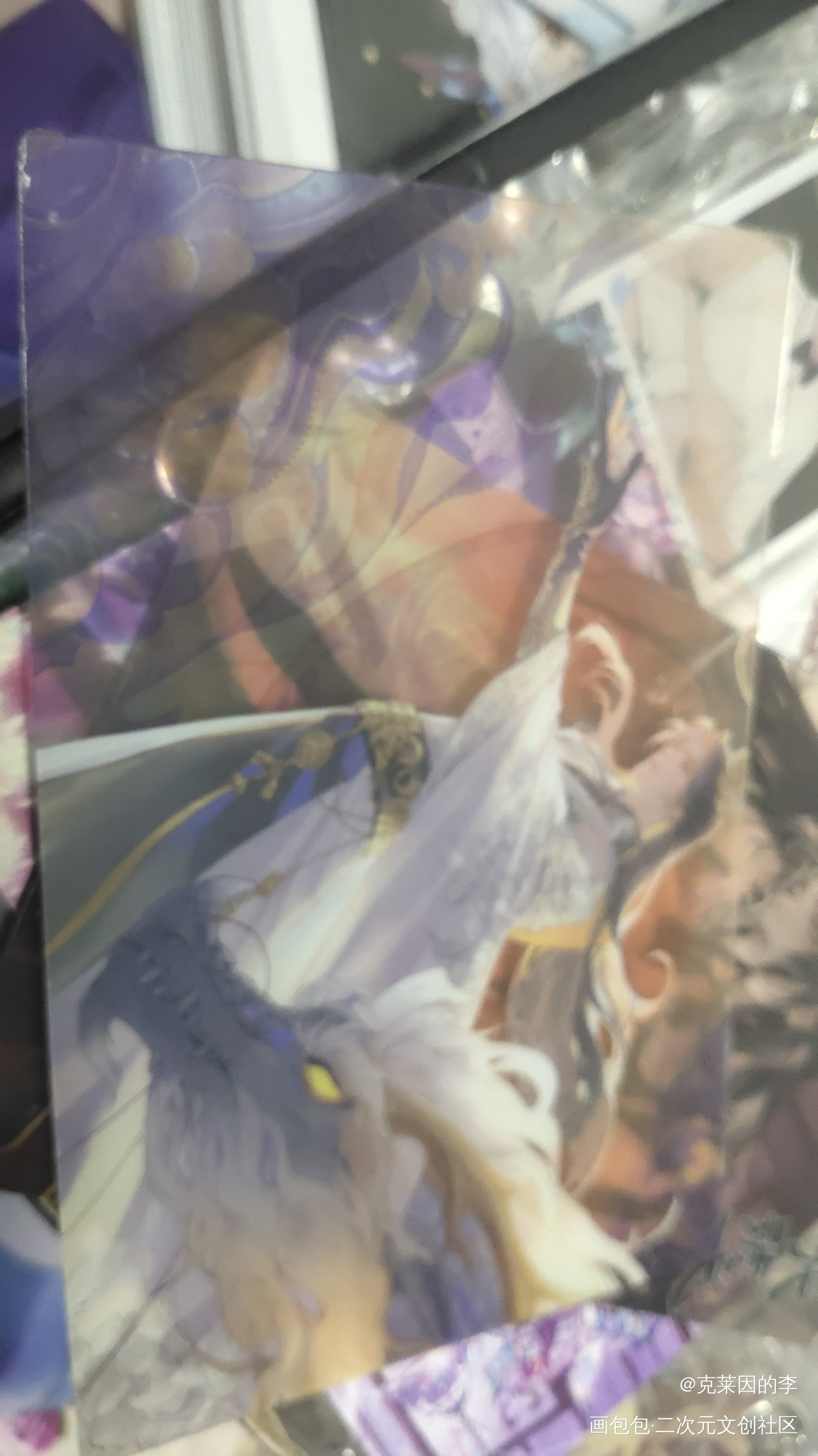 _二哈和他的白猫师尊授权返图绘画作品