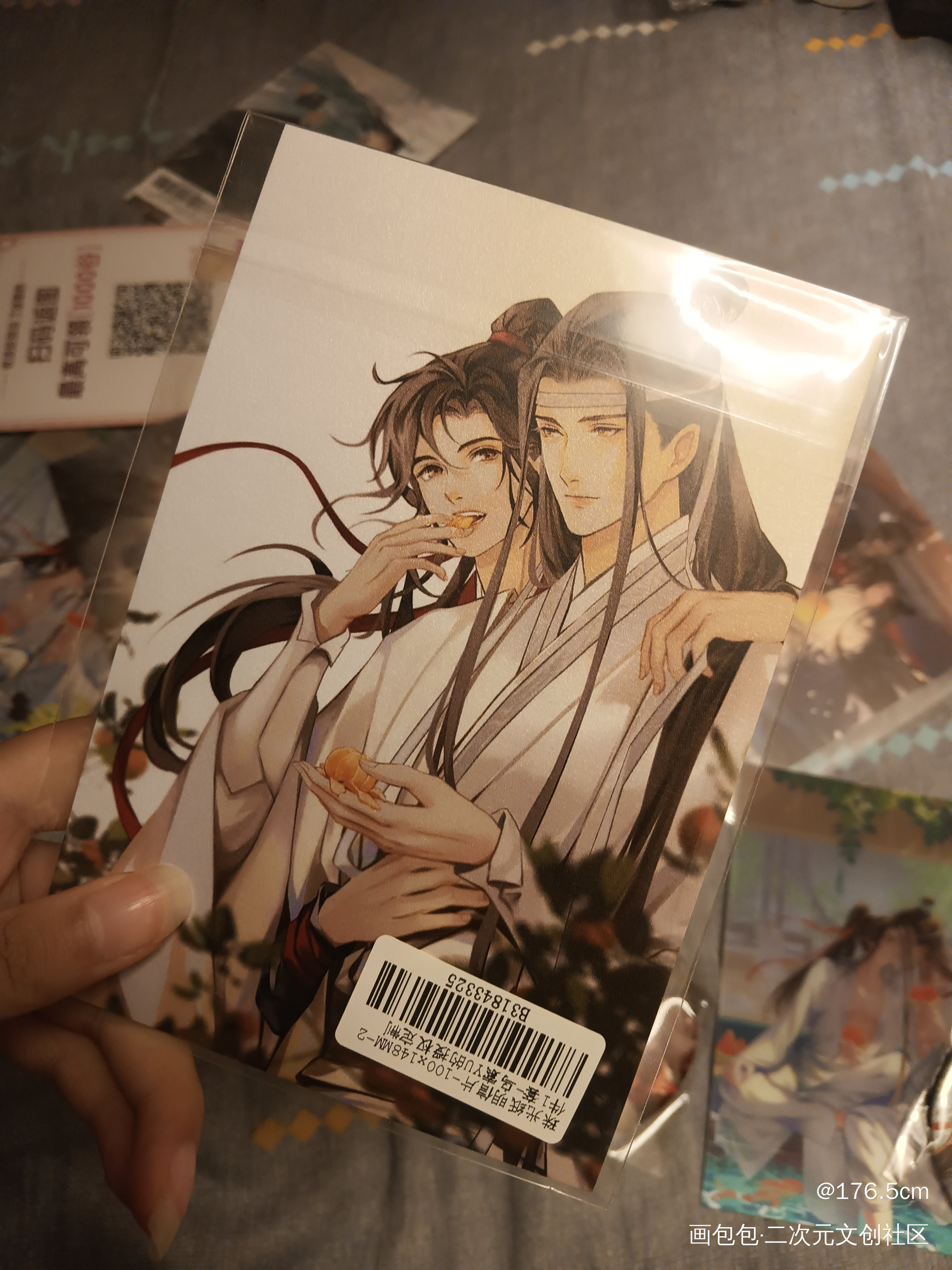 _魔道祖师授权返图绘画作品