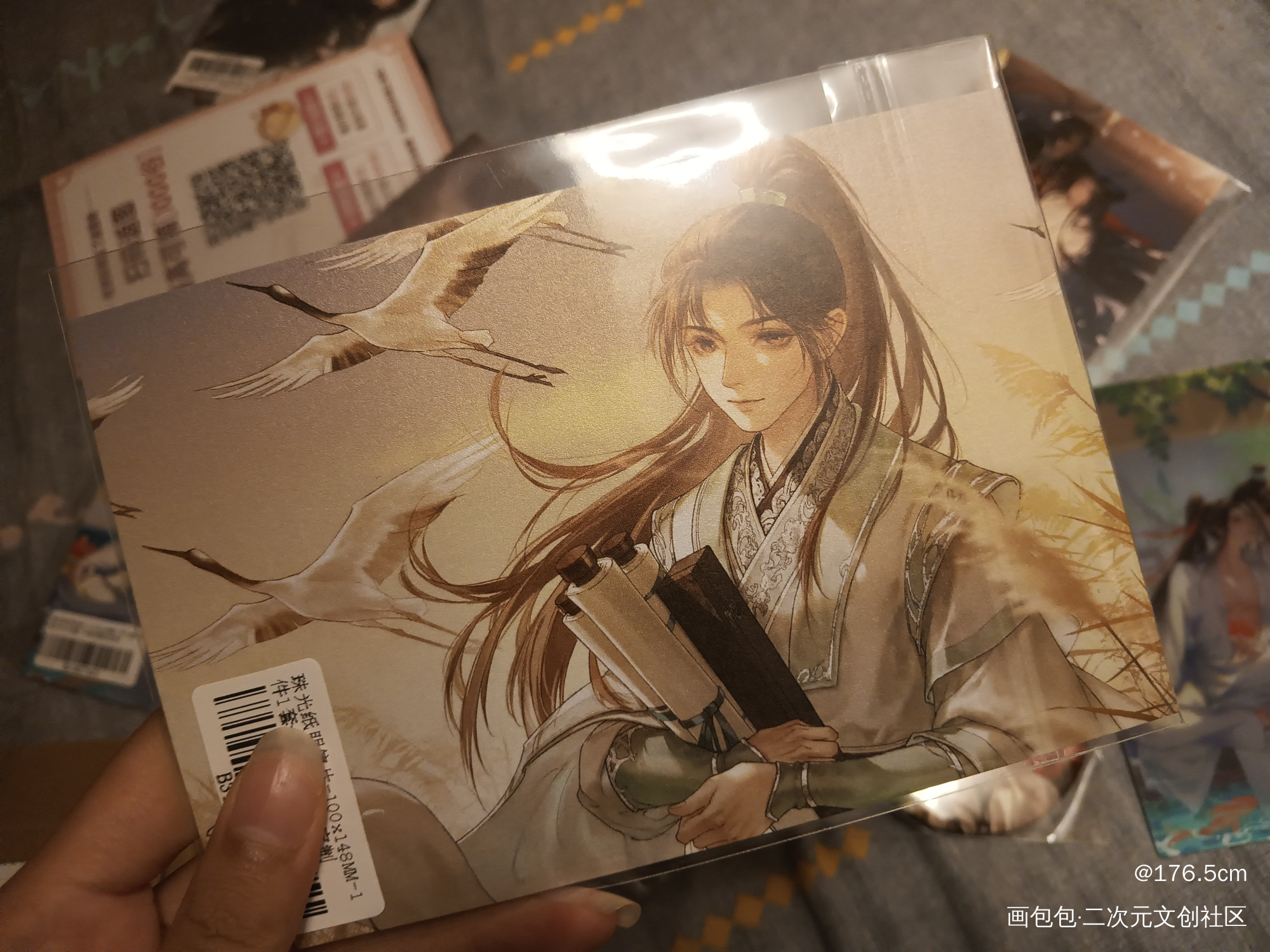 _人渣反派自救系统授权返图绘画作品