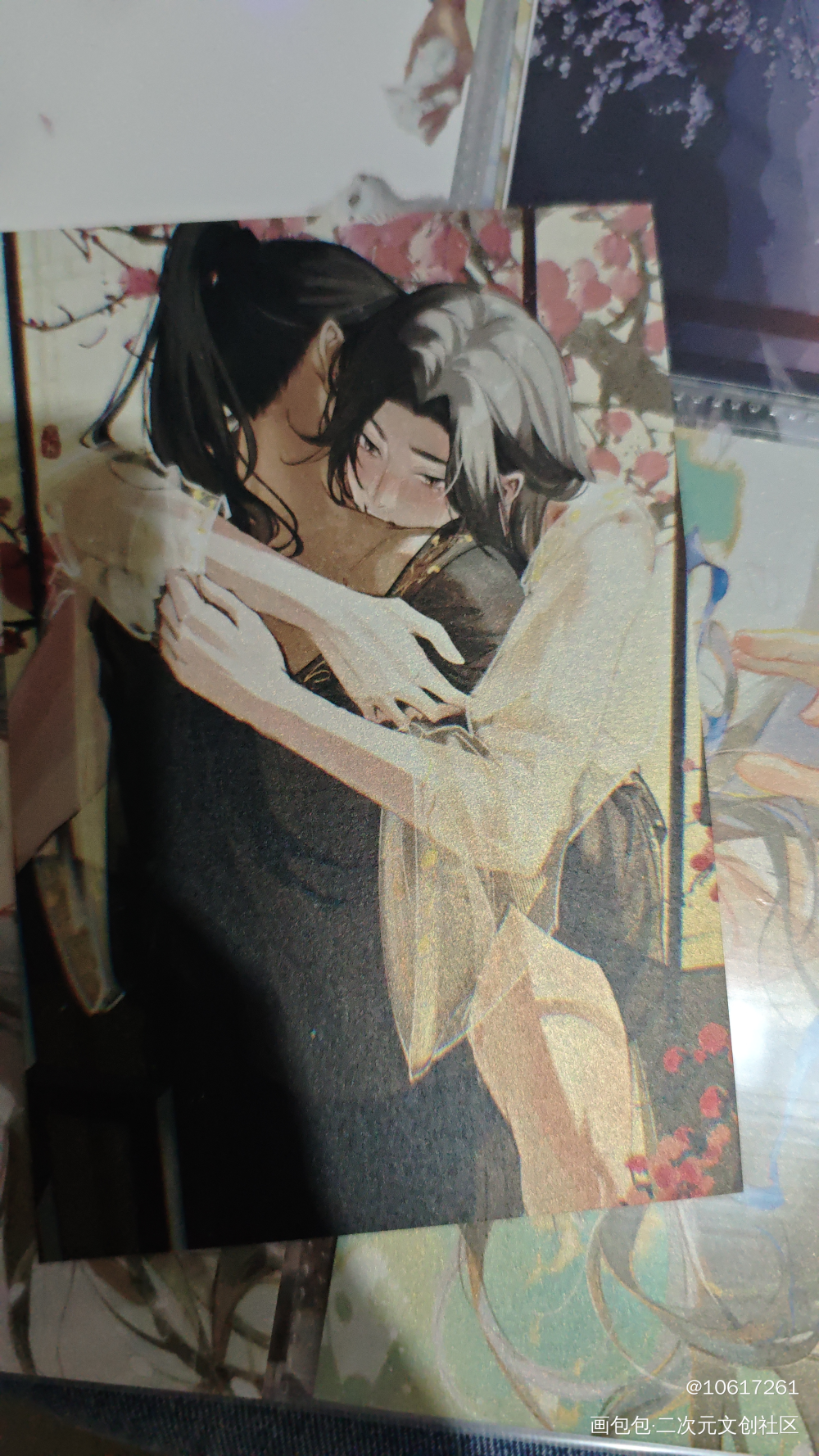 _二哈和他的白猫师尊授权返图绘画作品