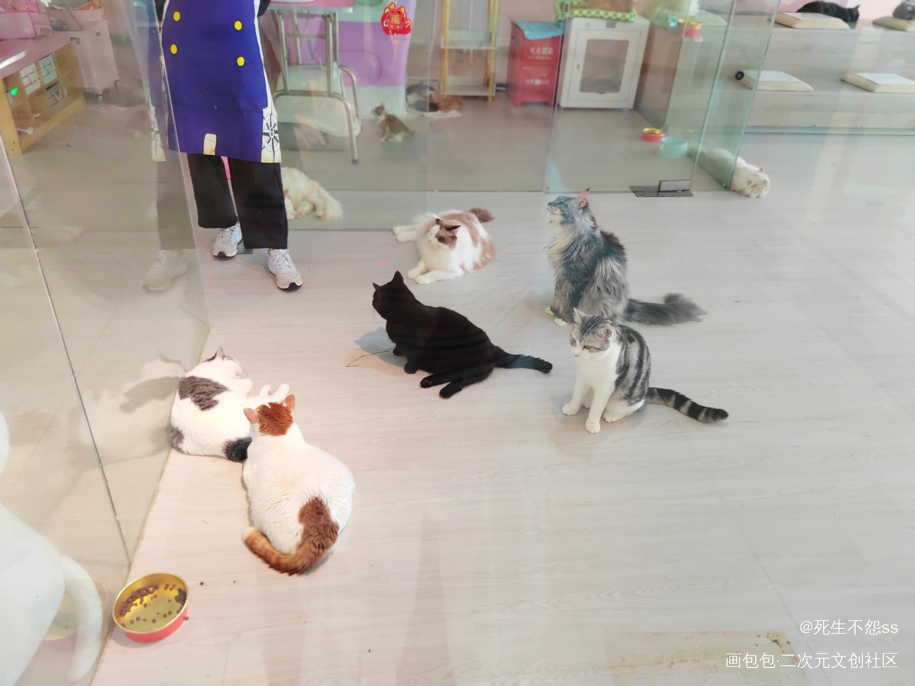 上海百联第六弹_谷子打卡绘画作品