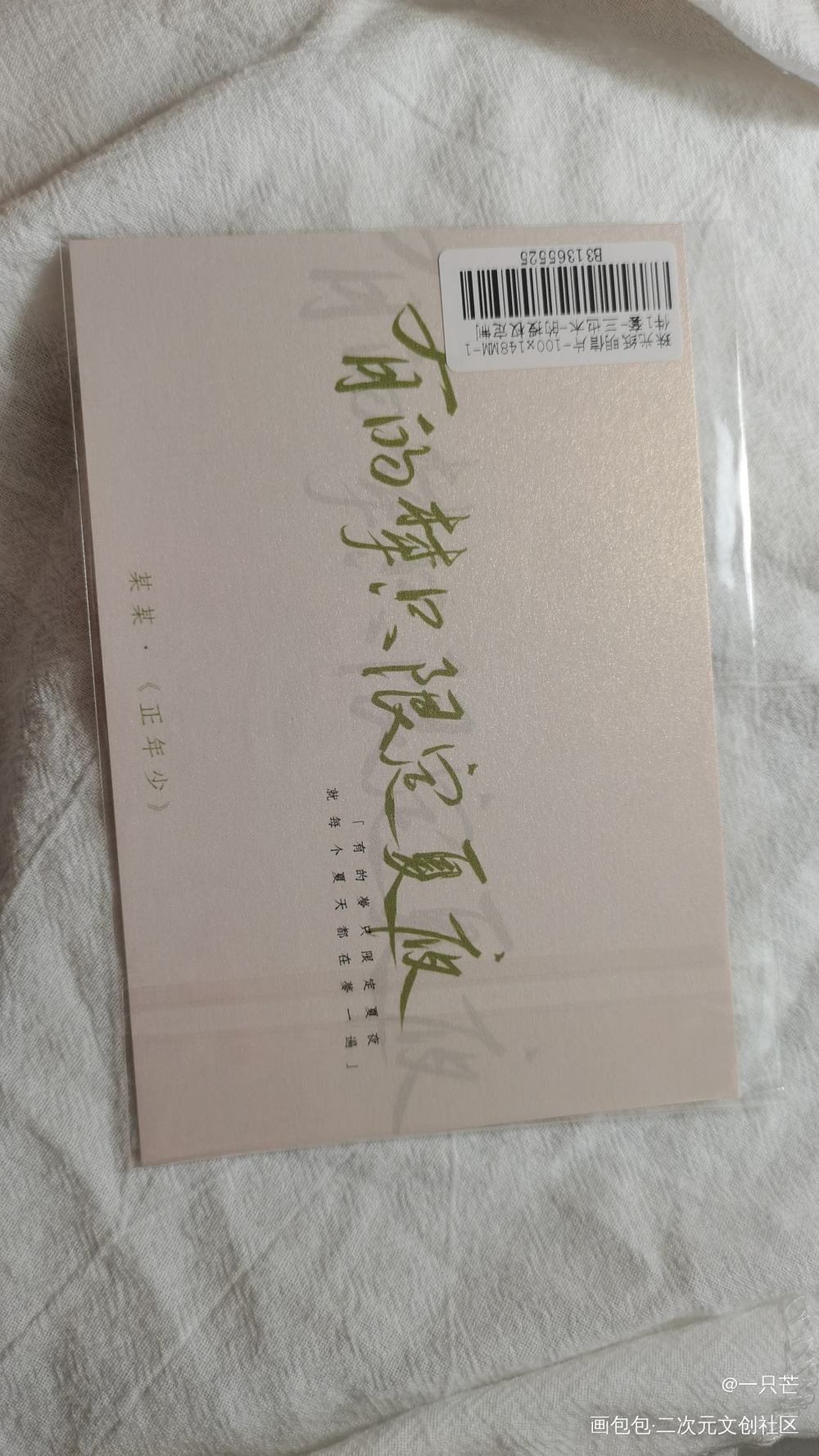 _某某授权返图绘画作品