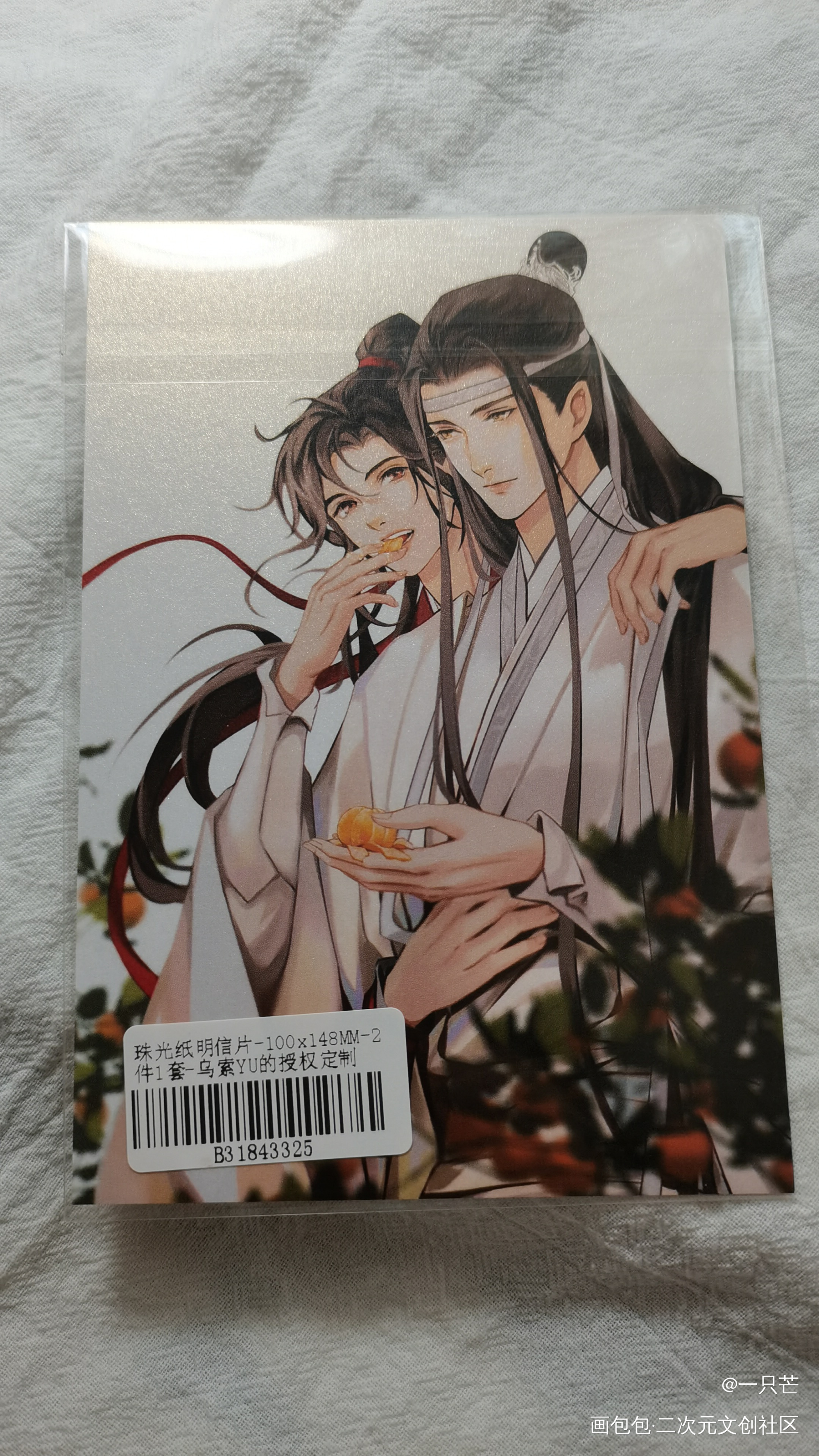 _魔道祖师授权返图绘画作品