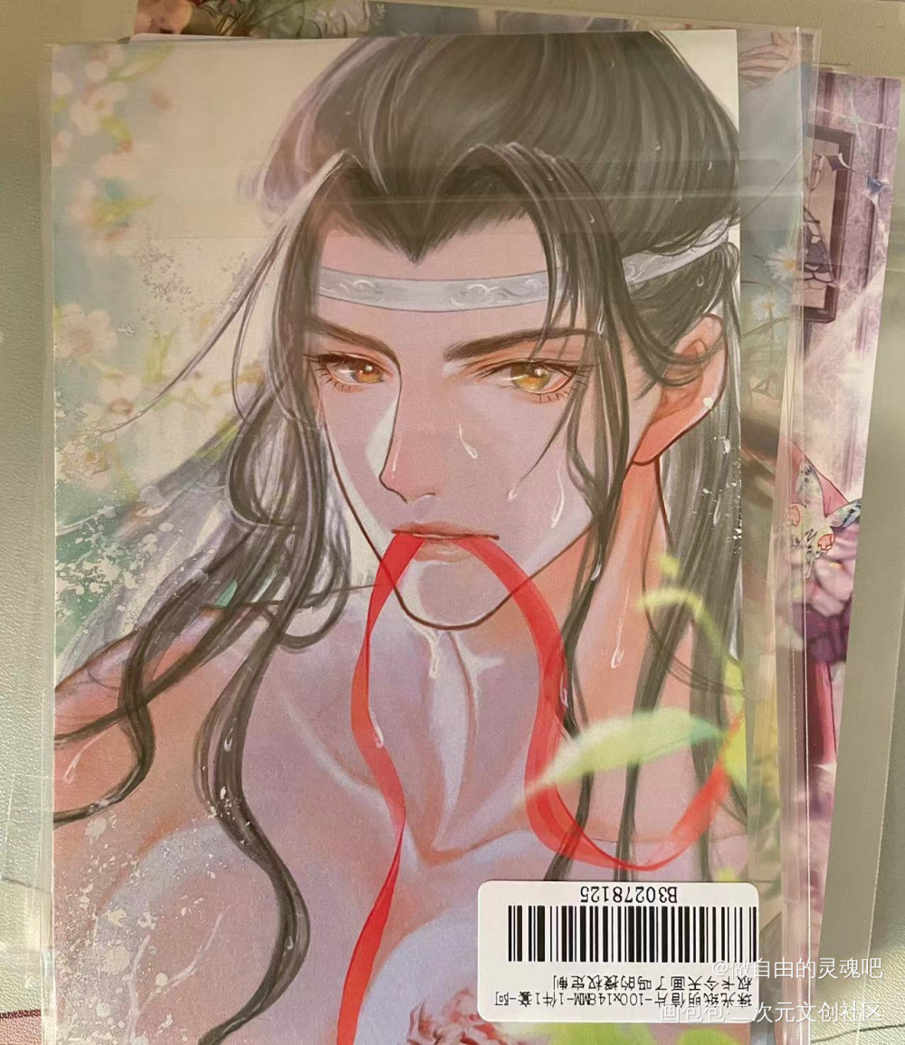 _魔道祖师授权返图绘画作品