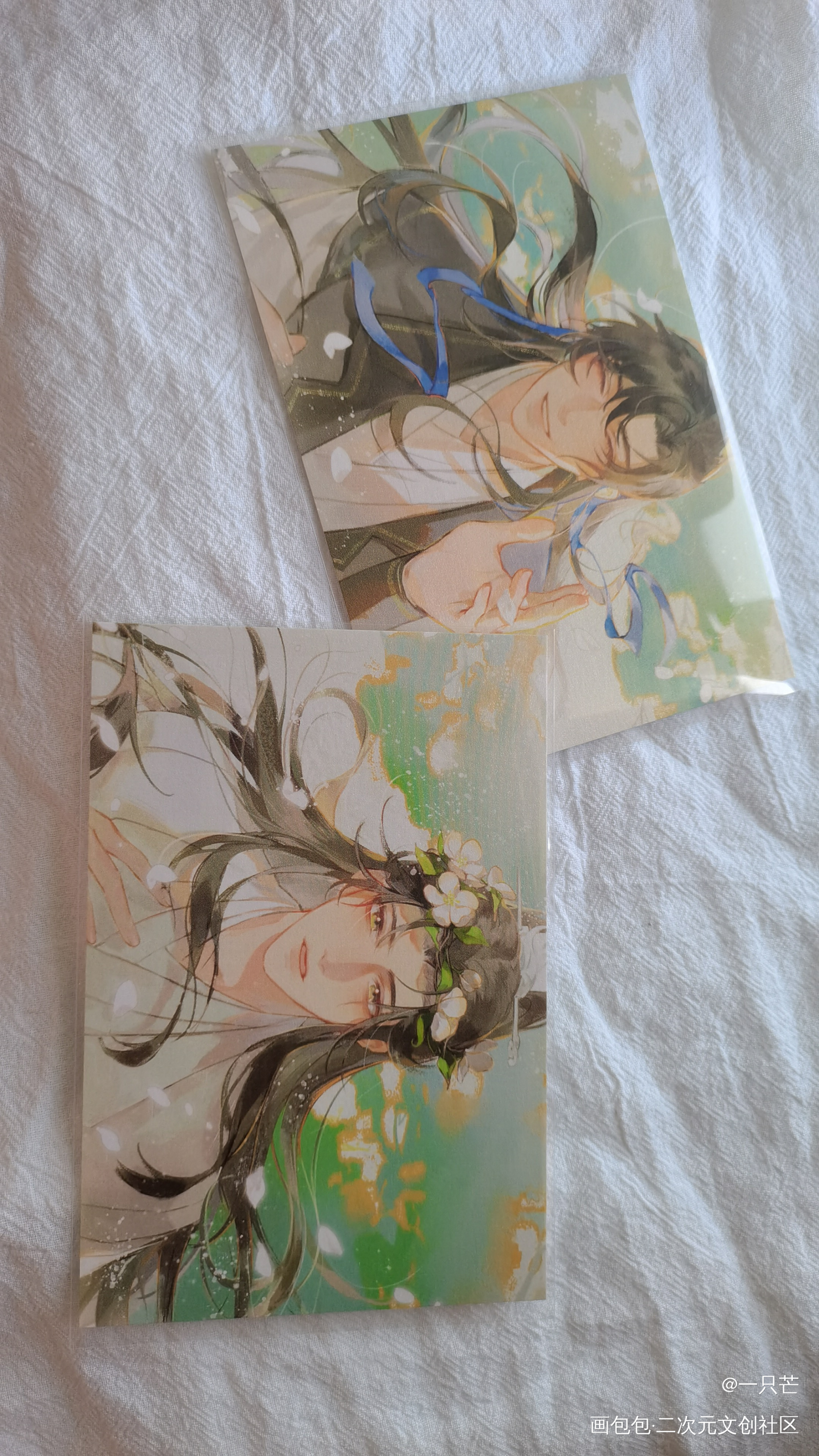 _二哈和他的白猫师尊授权返图绘画作品
