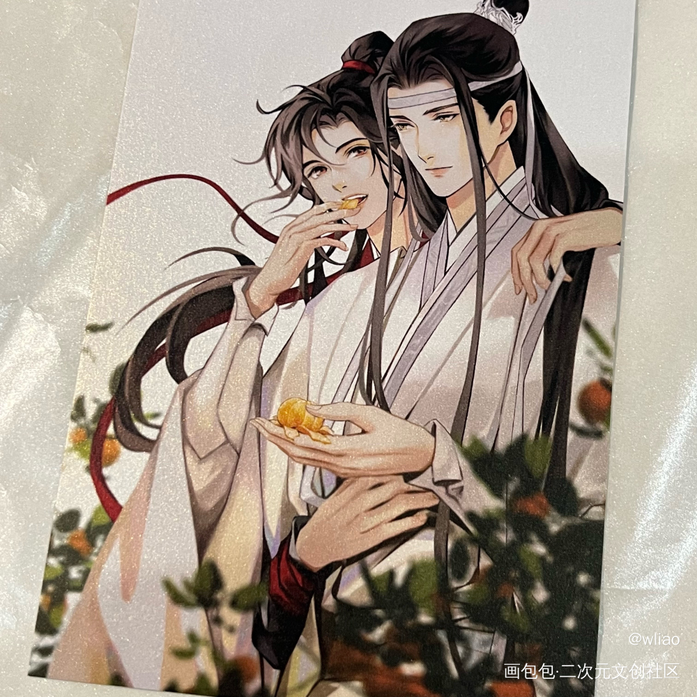 _魔道祖师授权返图绘画作品