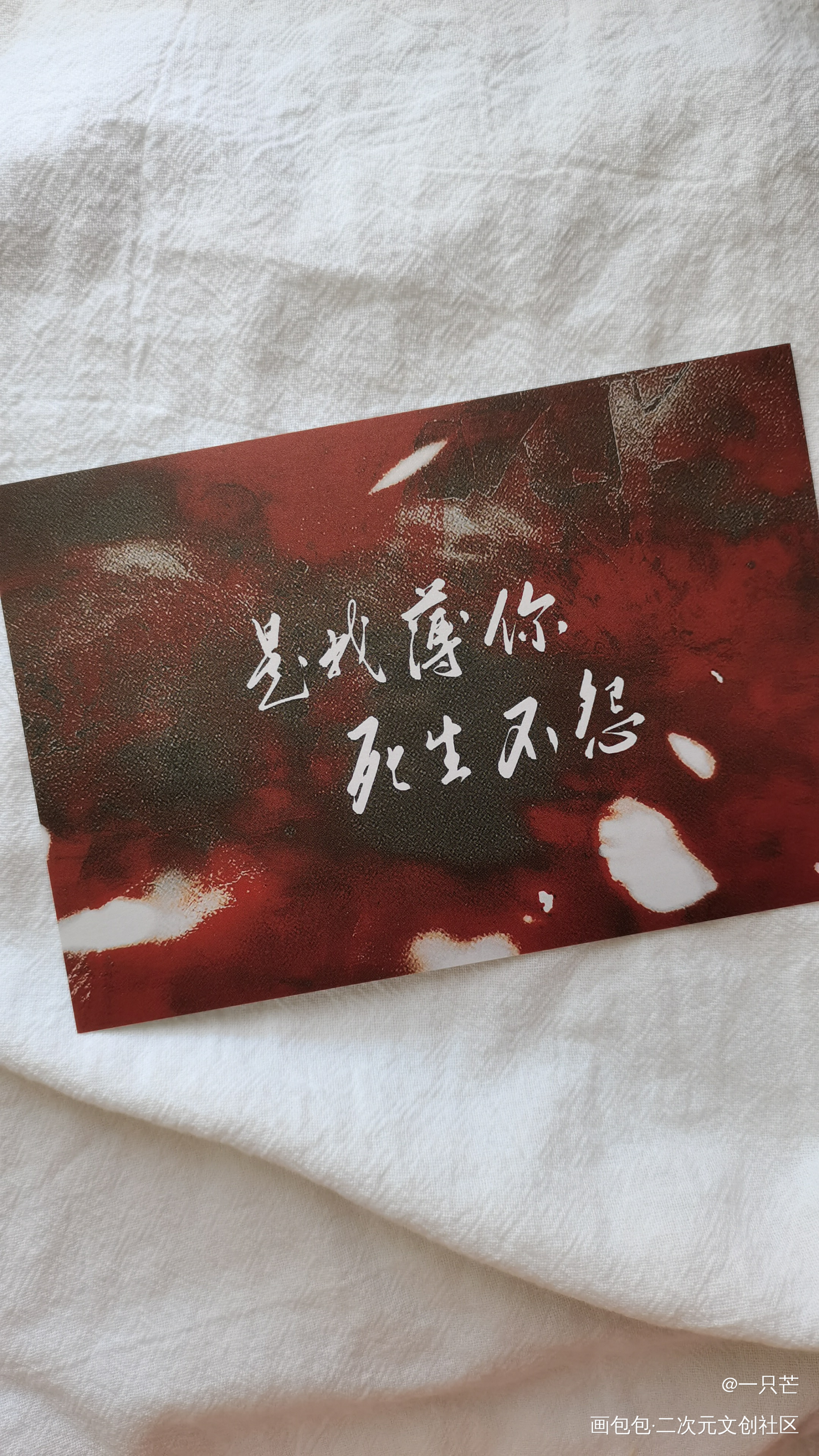 _二哈和他的白猫师尊授权返图绘画作品