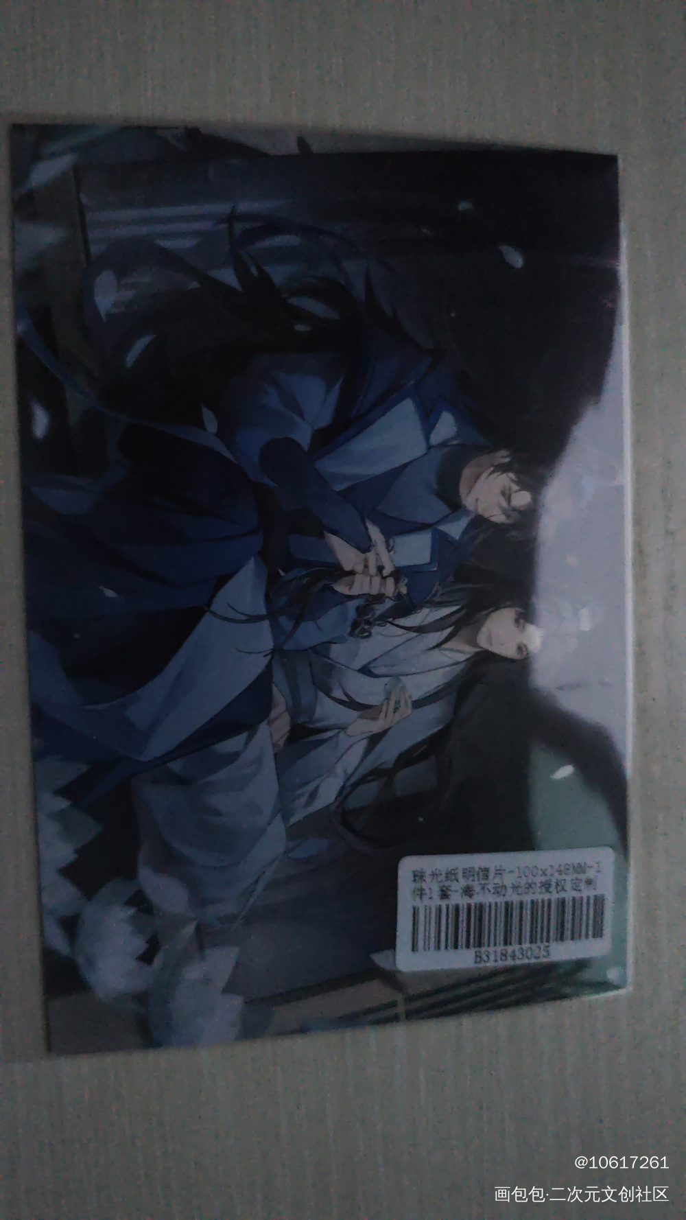 _二哈和他的白猫师尊授权返图绘画作品