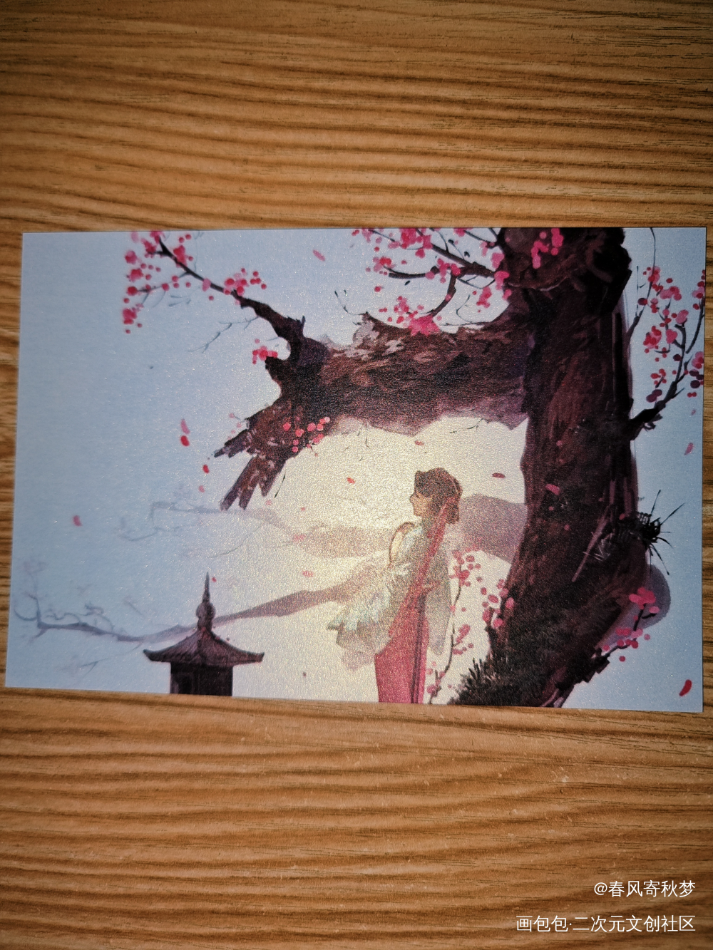 _小蘑菇授权返图绘画作品