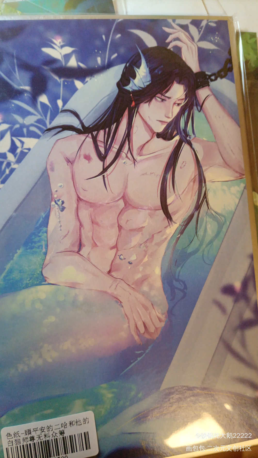 _二哈和他的白猫师尊无料返图绘画作品