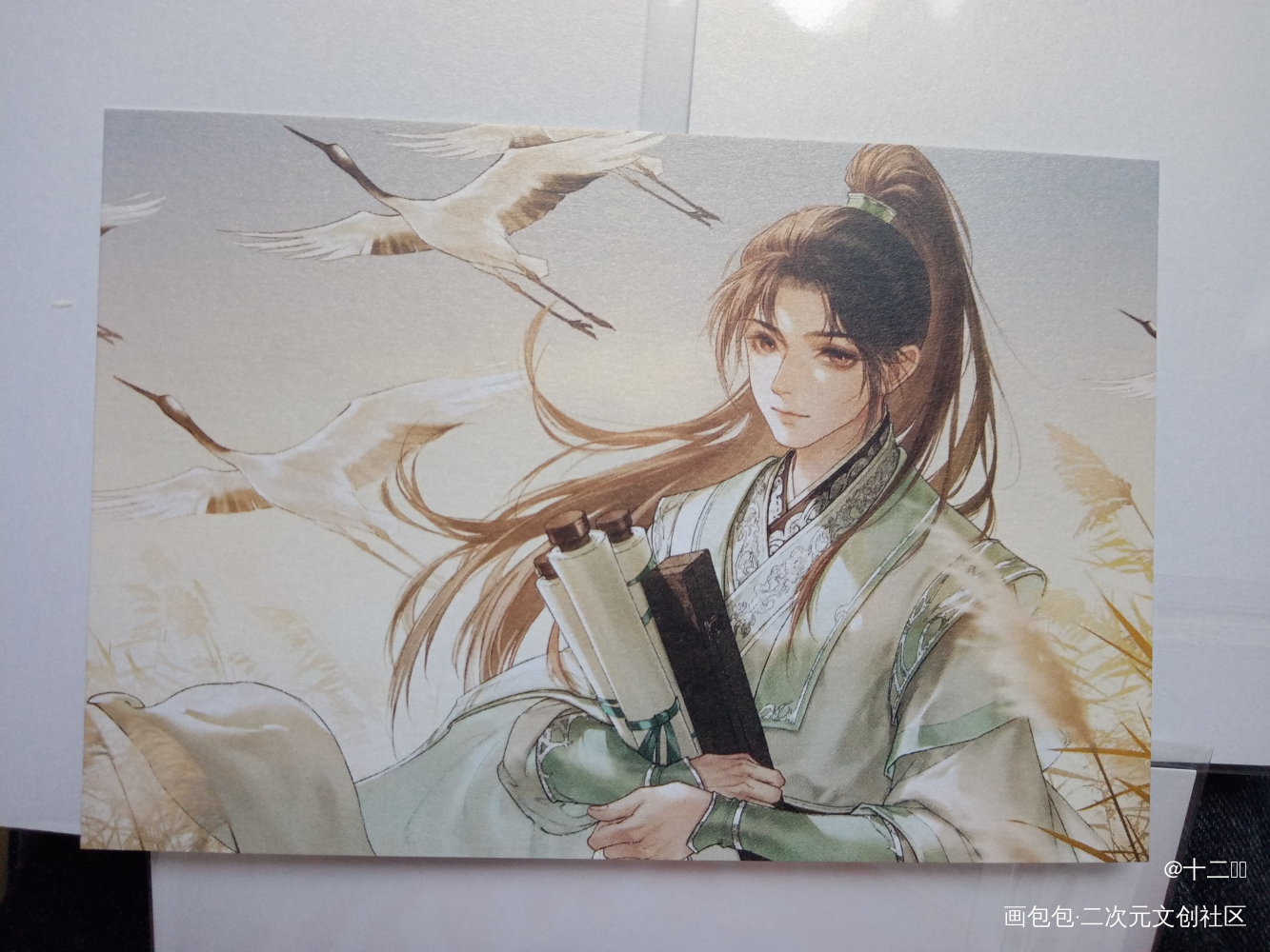 _人渣反派自救系统授权返图绘画作品