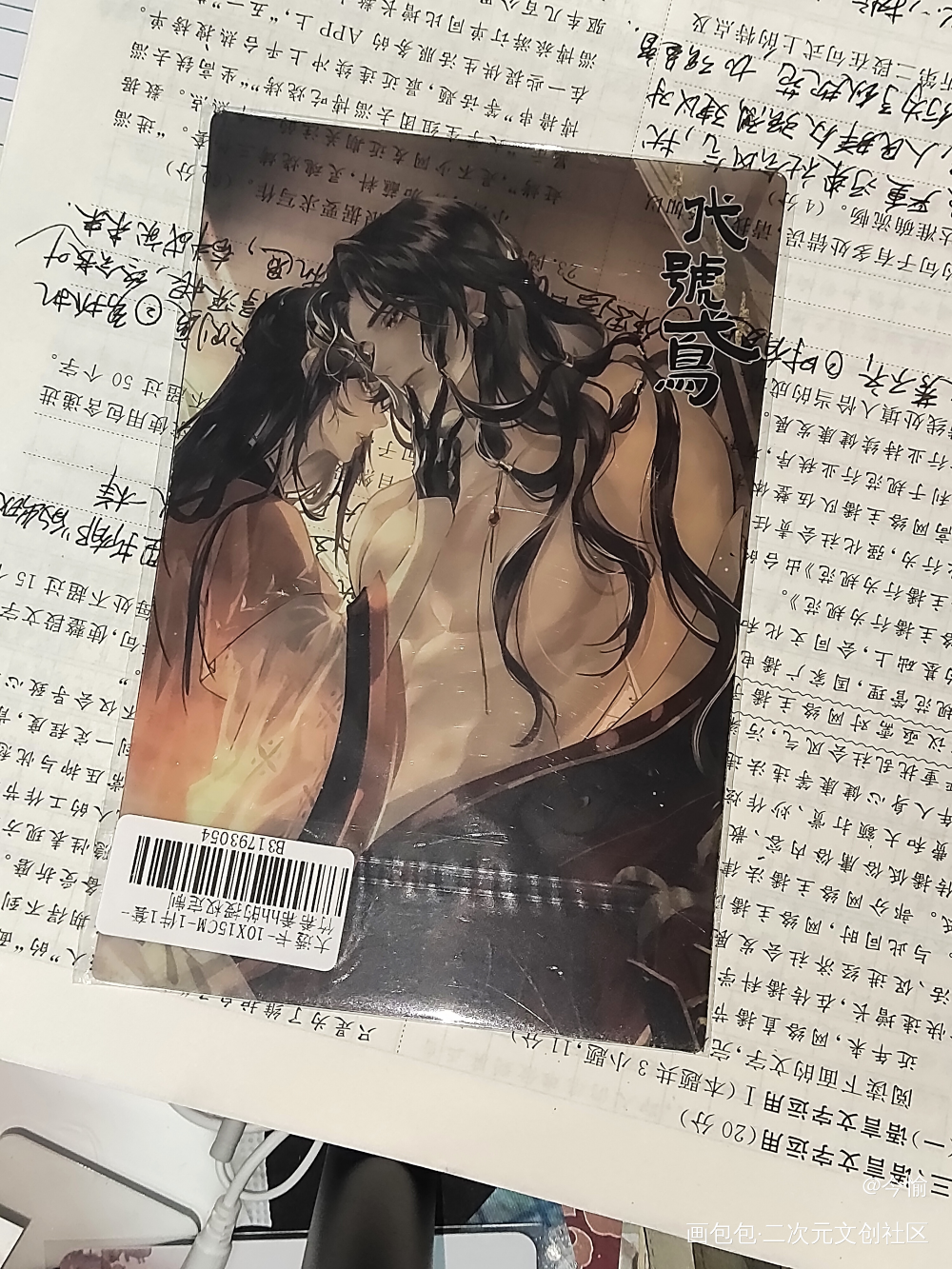(σ′▽‵)′▽‵)σ_代号鸢授权返图绘画作品