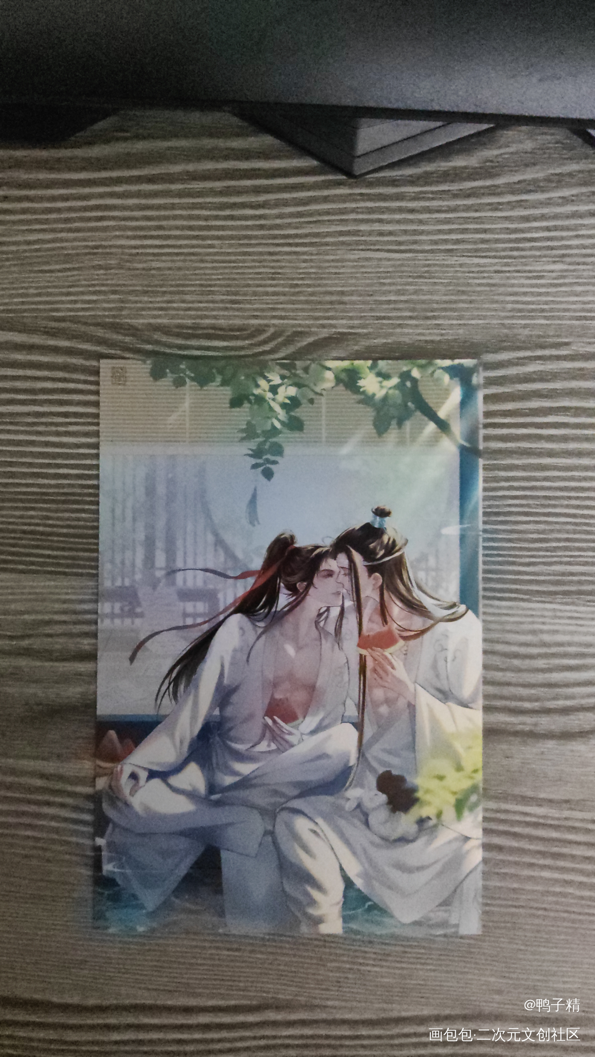 _魔道祖师授权返图蓝忘机·魔道祖师魏无羡·魔道祖师绘画作品