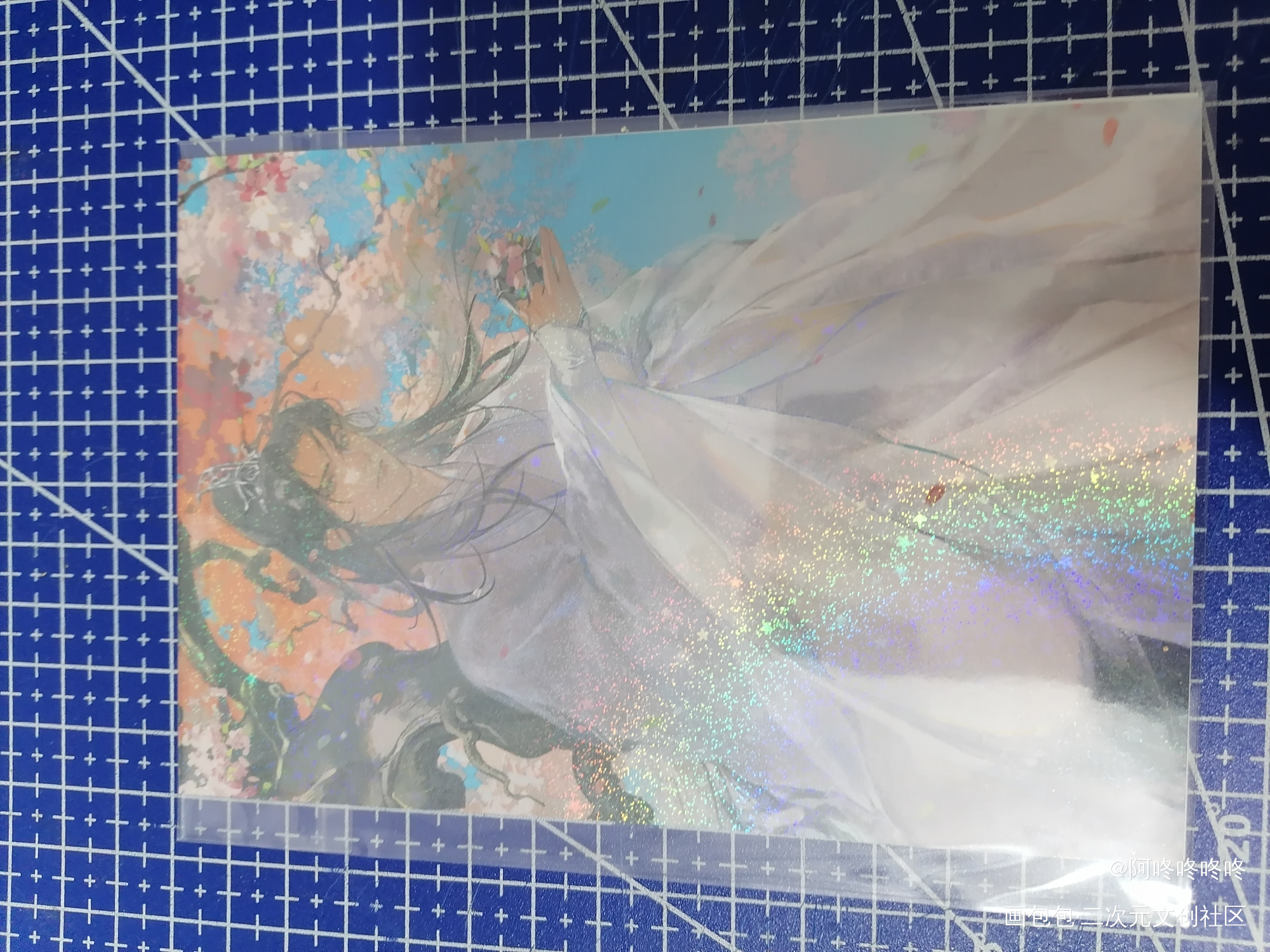 _二哈和他的白猫师尊无料返图绘画作品
