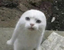 _绘画作品