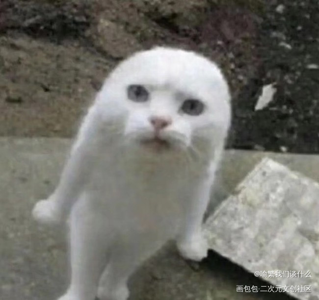 _188男团无料返图绘画作品