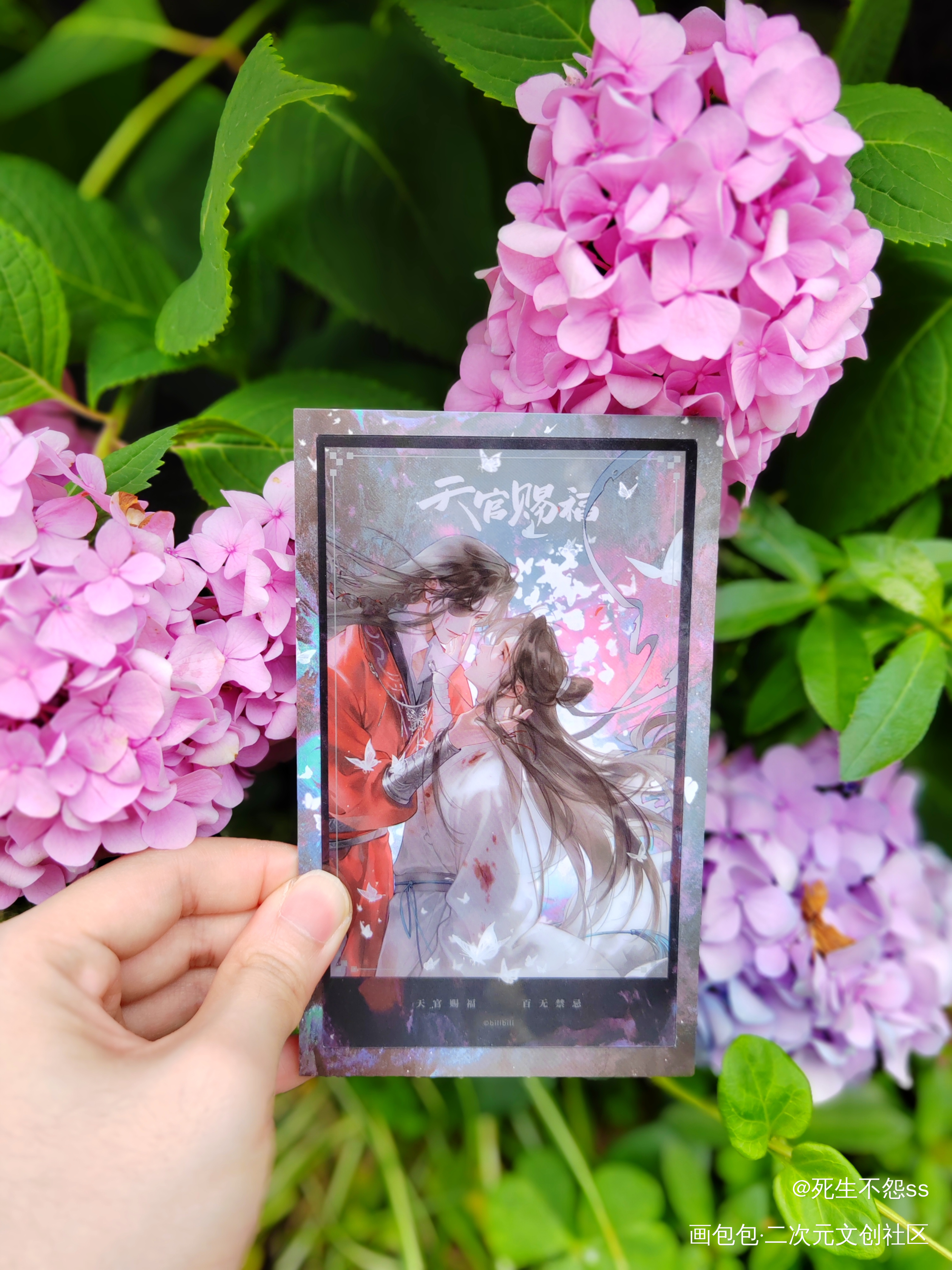 红衣胜枫，化蝶归来_天官赐福花怜谢怜.·天官赐福花城·天官赐福墨香铜臭绘画作品