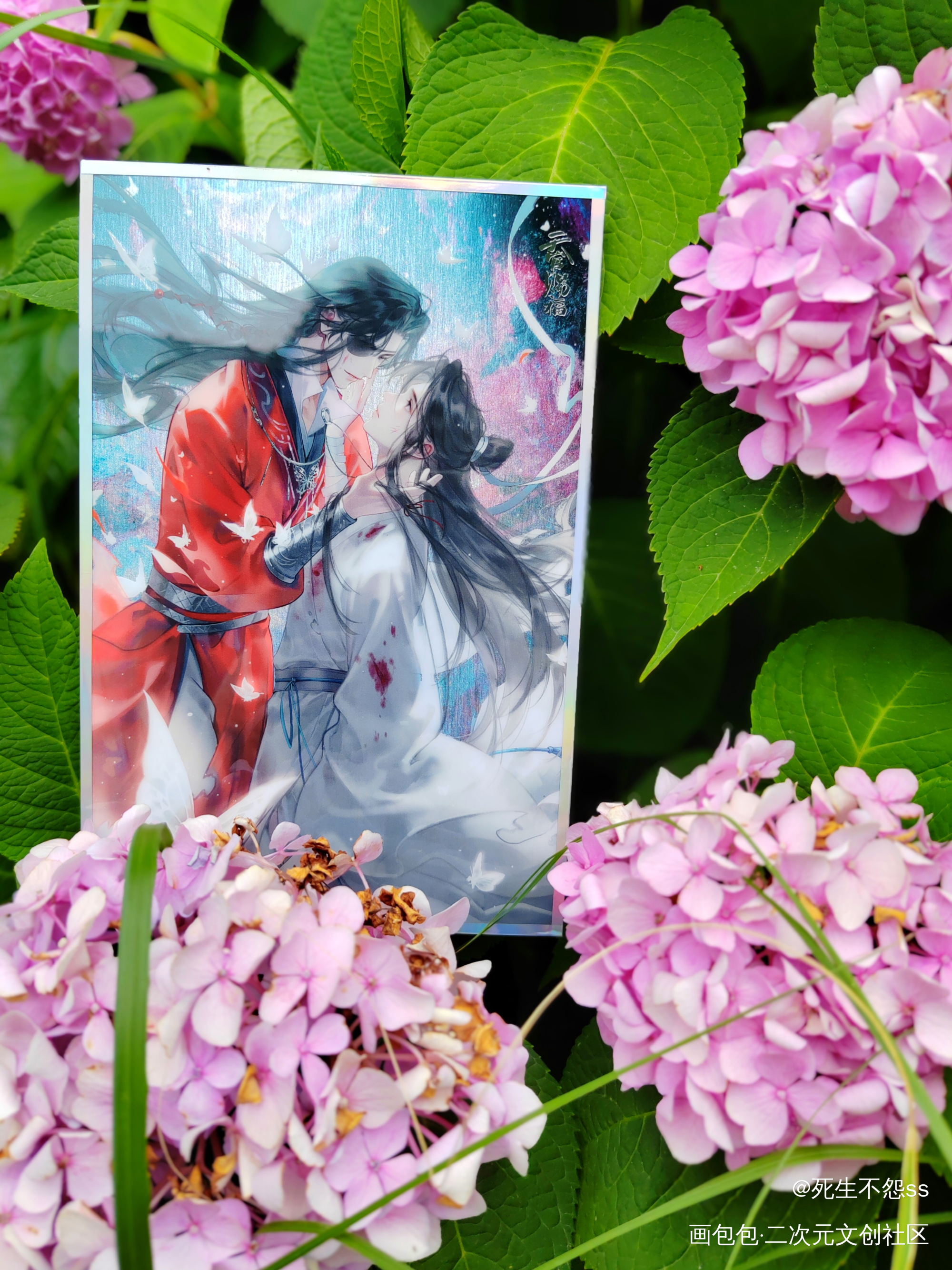红衣胜枫，化蝶归来_天官赐福花怜谢怜.·天官赐福花城·天官赐福墨香铜臭绘画作品
