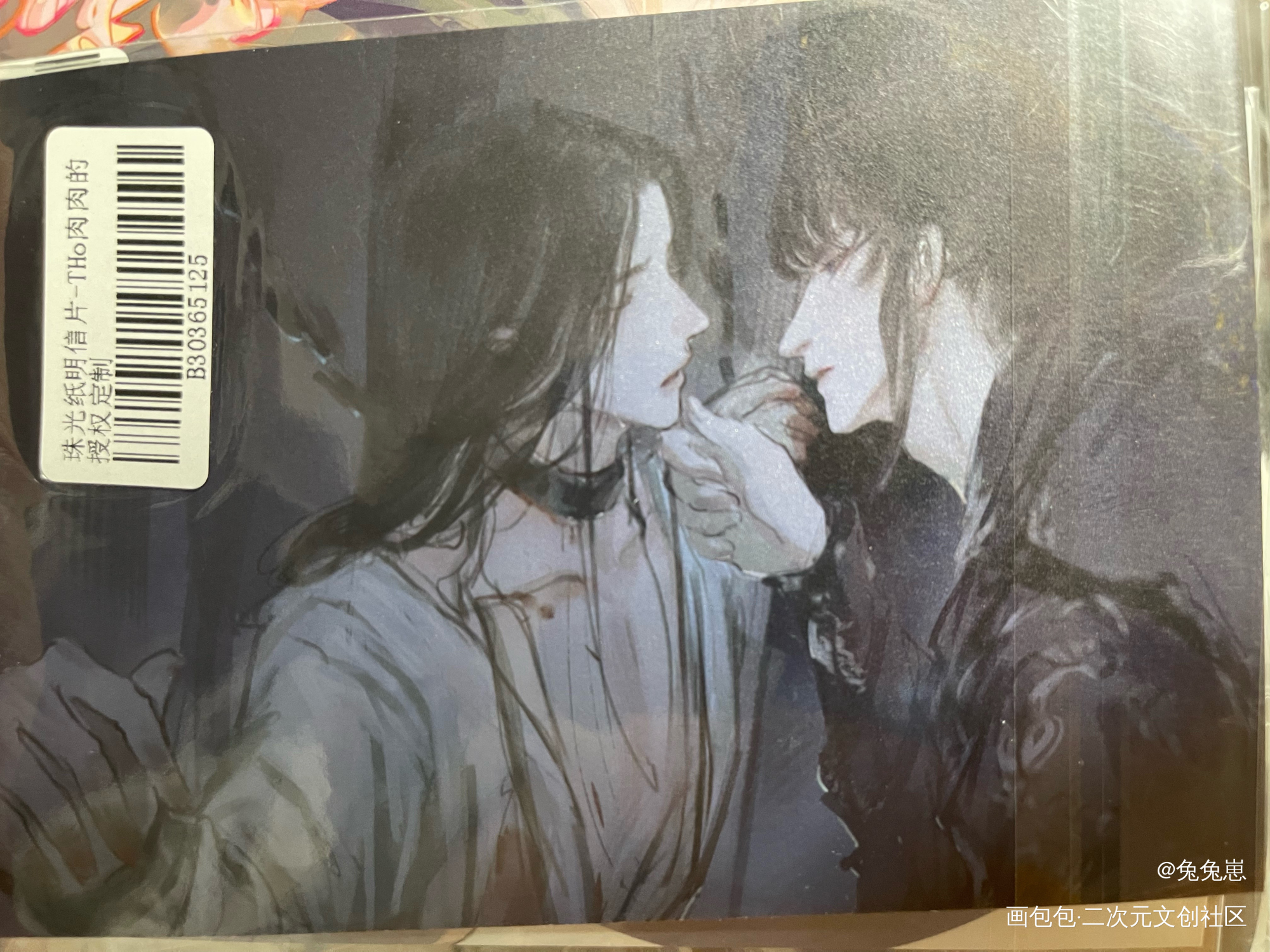 _二哈和他的白猫师尊授权返图绘画作品