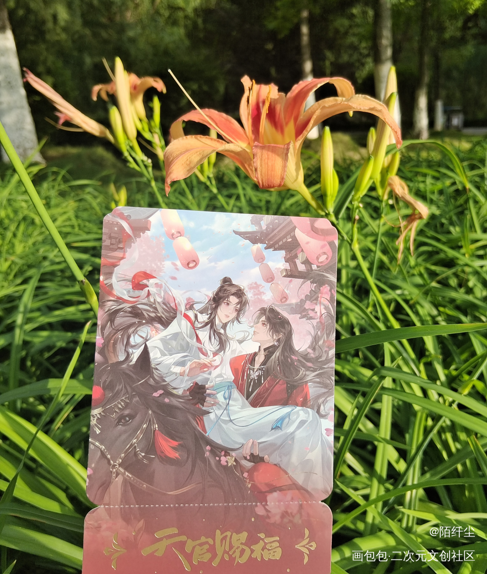 _天官赐福周边秀花怜花城·天官赐福谢怜·天官赐福绘画作品