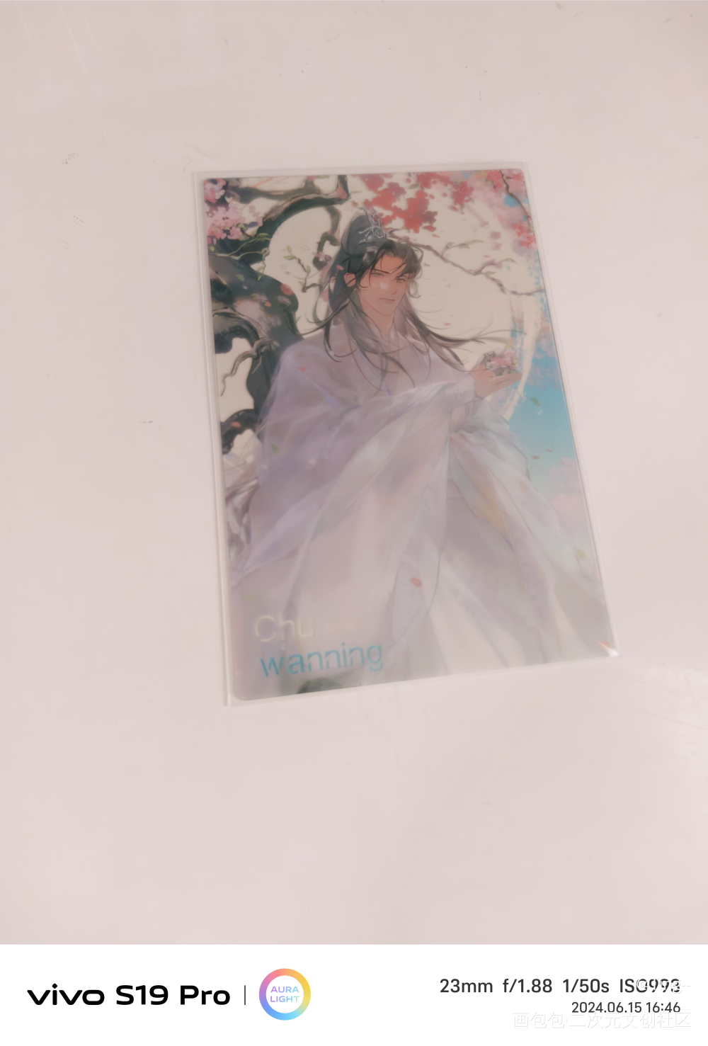 _二哈和他的白猫师尊授权返图绘画作品