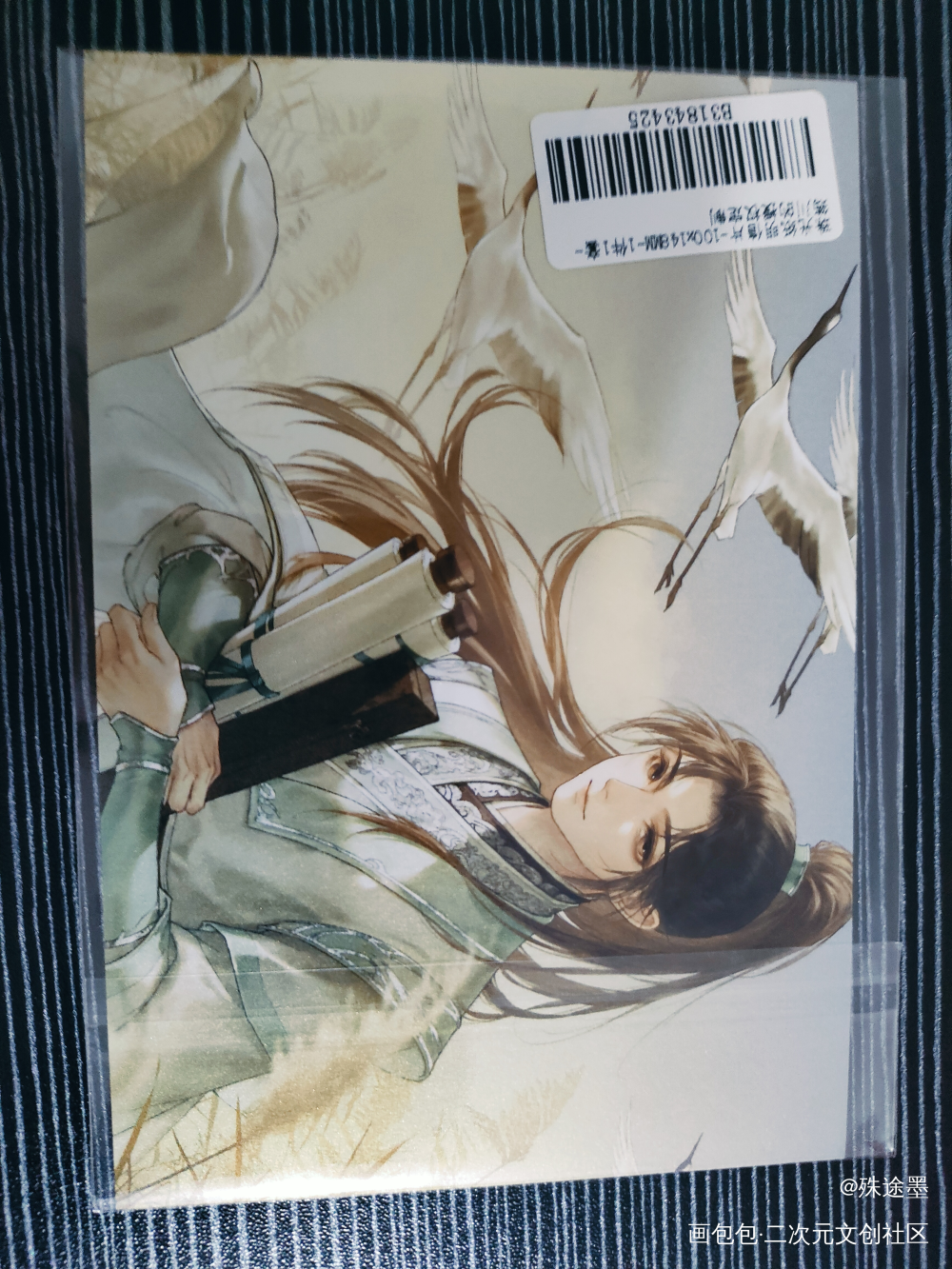 _人渣反派自救系统授权返图绘画作品