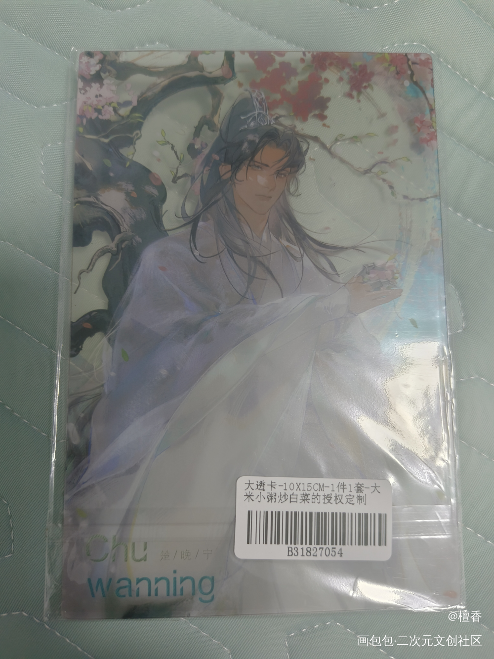 人间微雨十年冷，幸得此间遇晚宁。_二哈和他的白猫师尊授权返图绘画作品