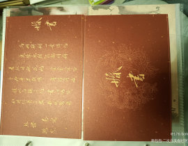 超级好看！！！_绘画作品