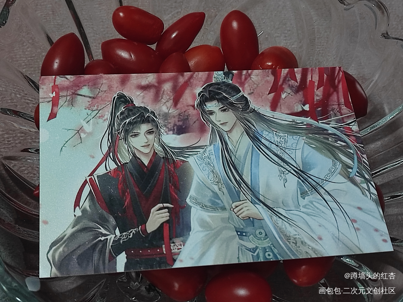 _魔道祖师忘羡蓝忘机魏无羡绘画作品