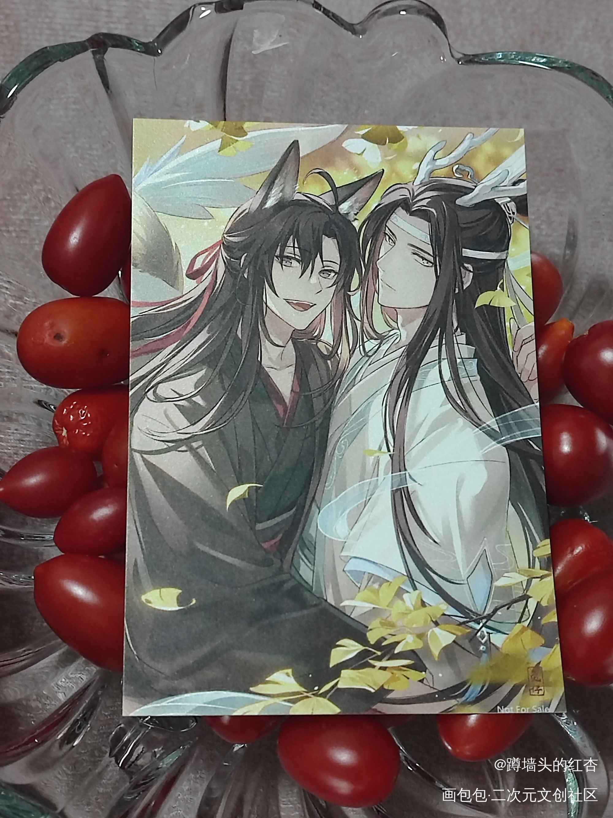 _魔道祖师忘羡蓝忘机魏无羡绘画作品