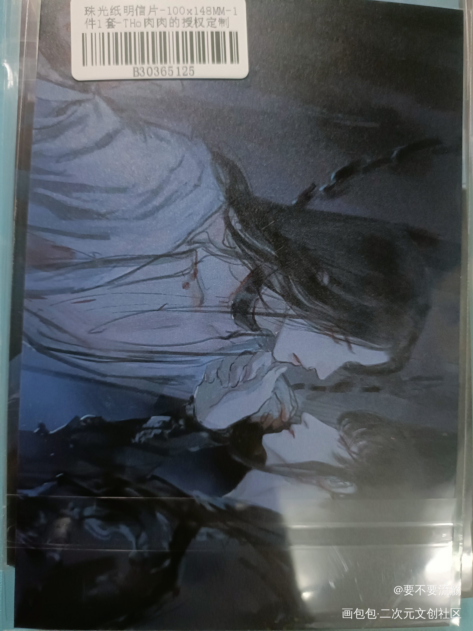 _二哈和他的白猫师尊授权返图绘画作品