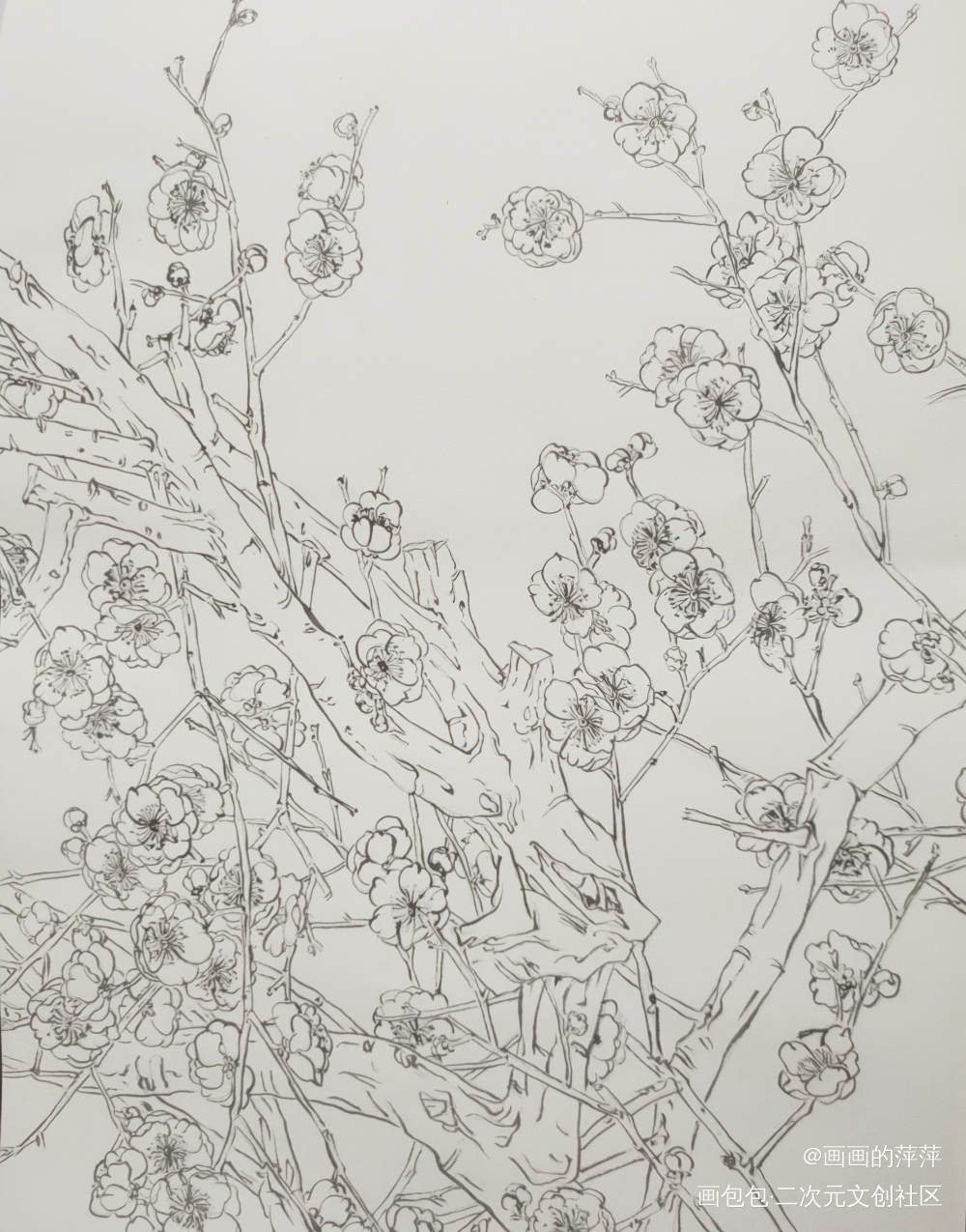 描个线的日常_勾线描线绘画作品