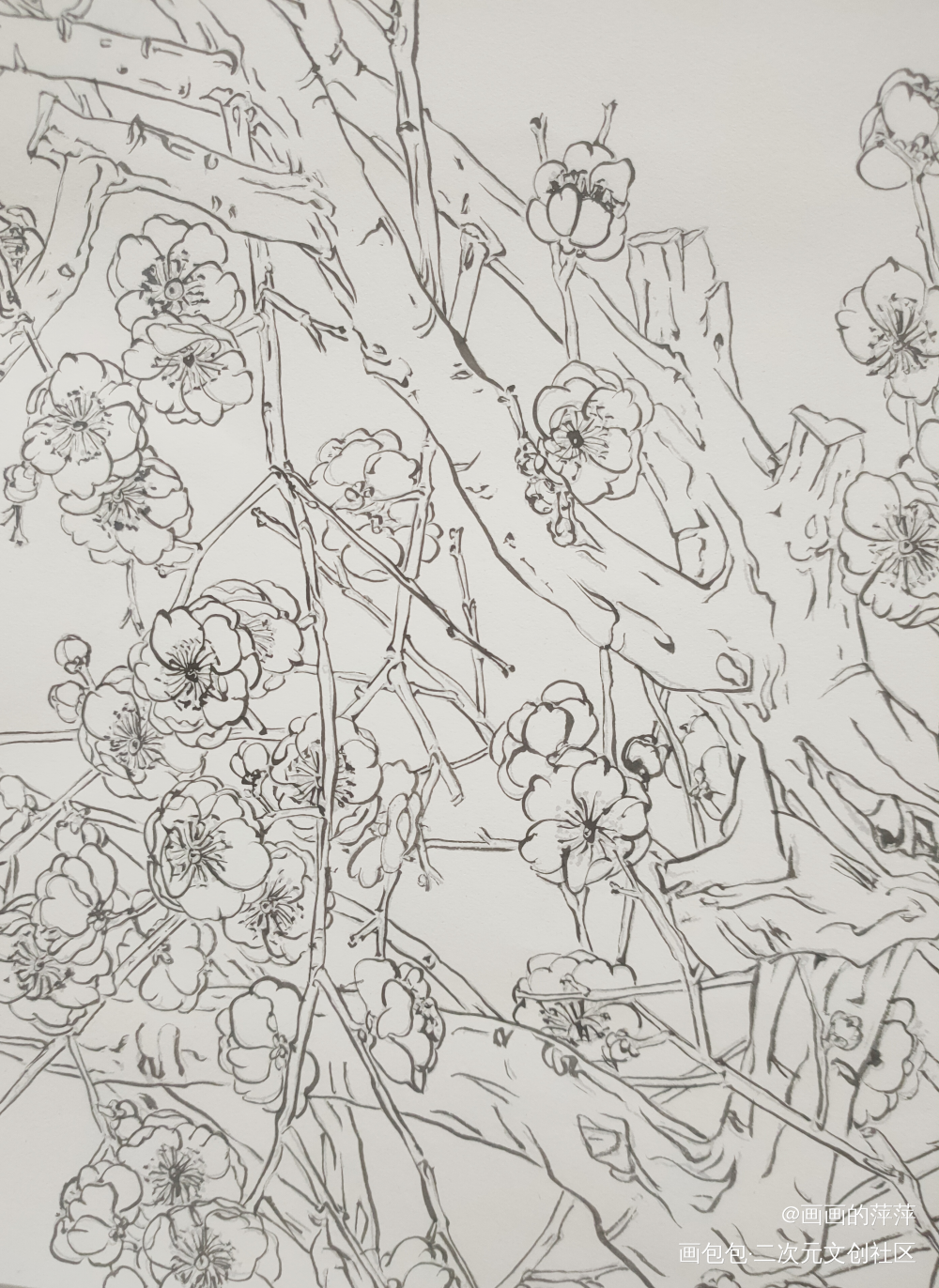 描个线的日常_勾线描线绘画作品