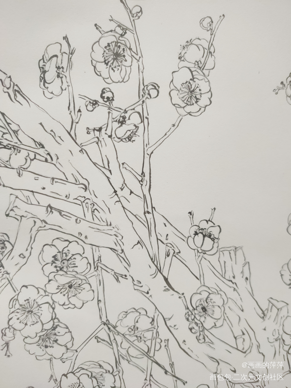 描个线的日常_勾线描线绘画作品