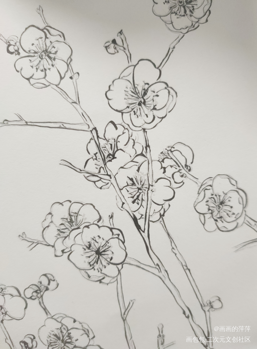描个线的日常_勾线描线绘画作品