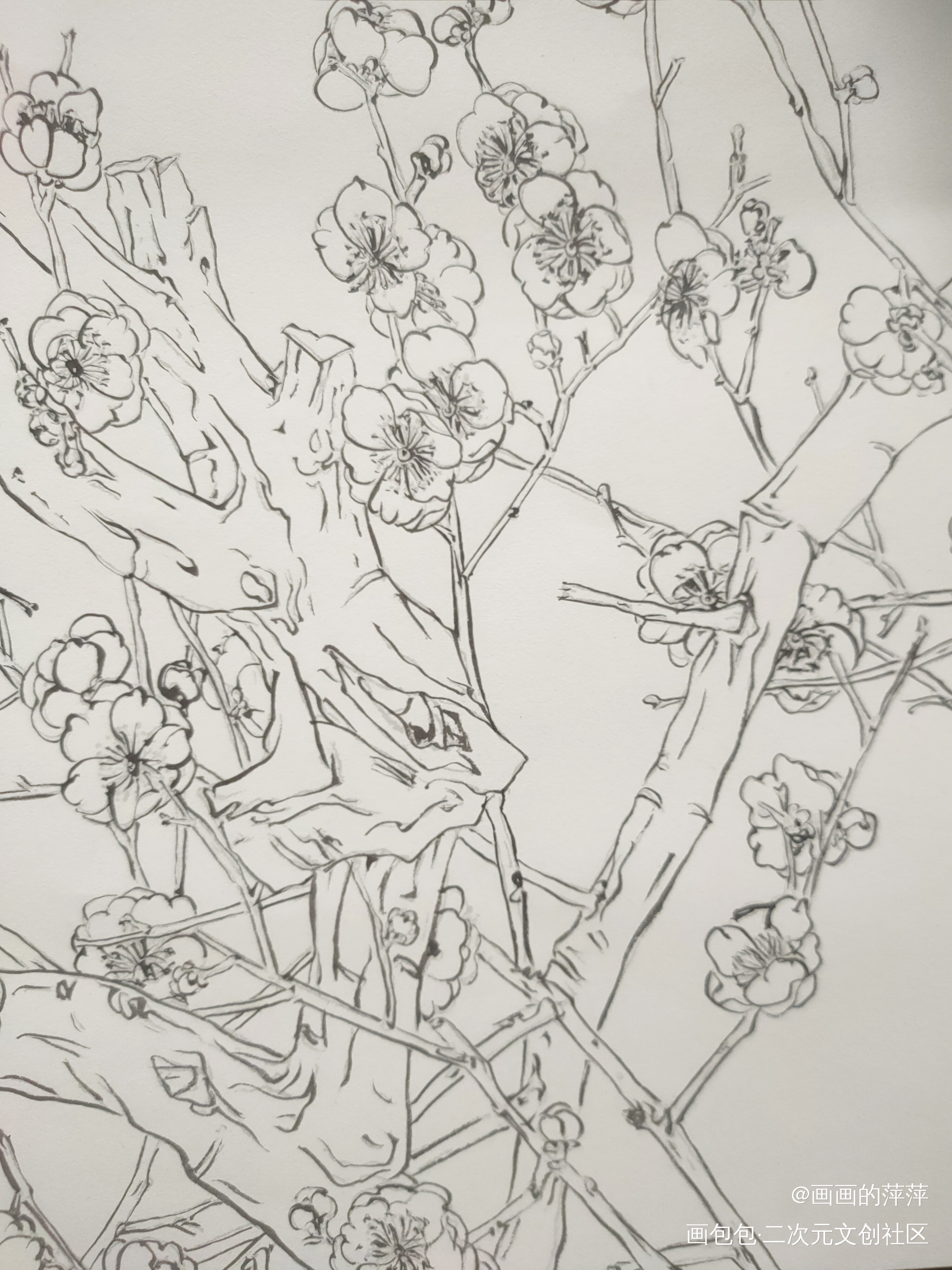描个线的日常_勾线描线绘画作品
