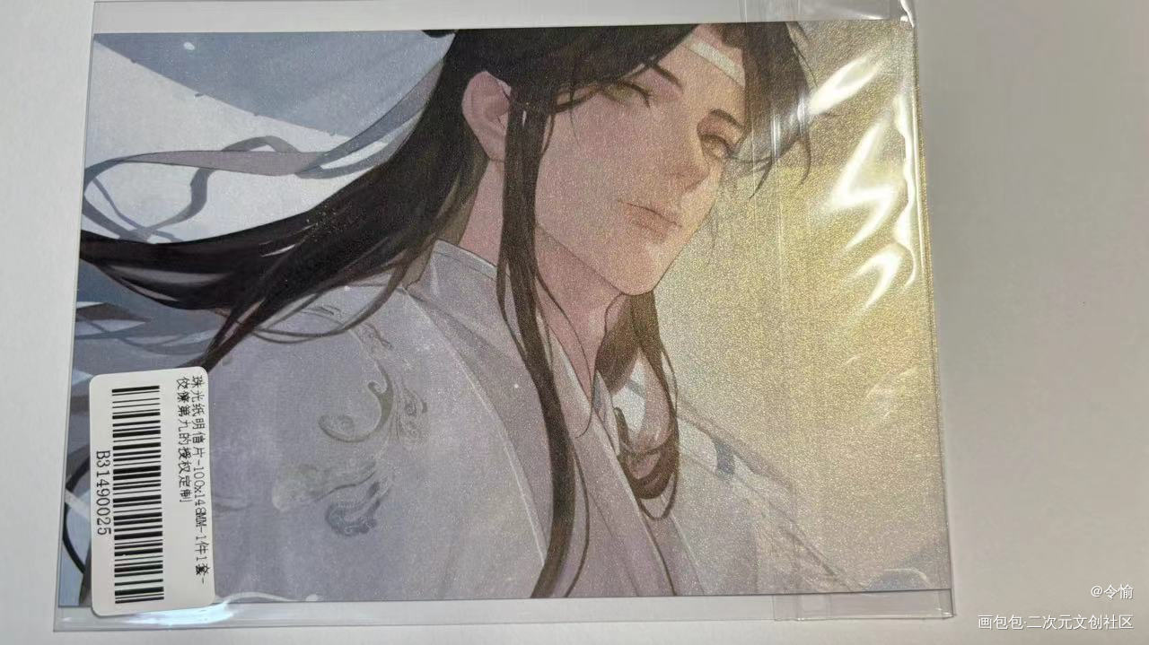 _魔道祖师授权返图绘画作品