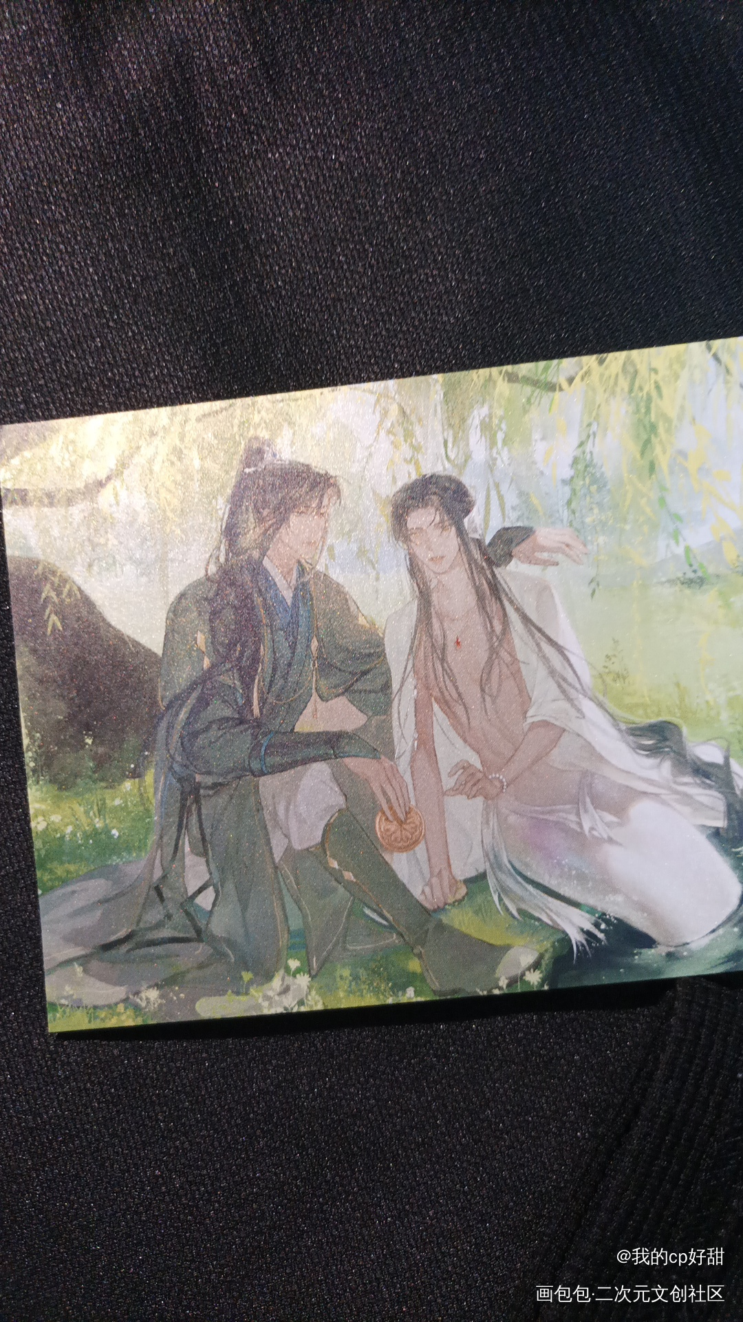 _二哈和他的白猫师尊无料返图绘画作品