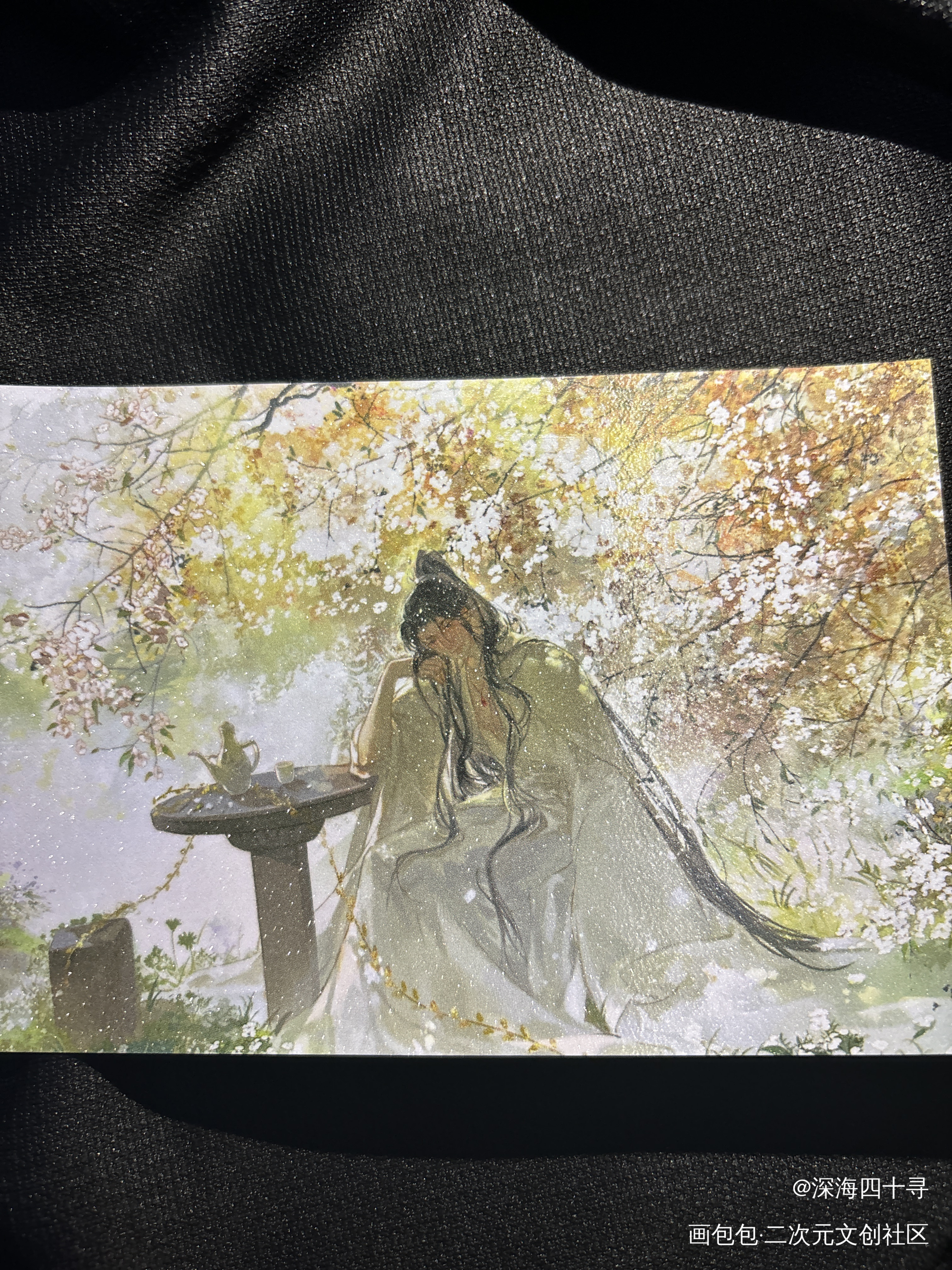 _二哈和他的白猫师尊无料返图绘画作品