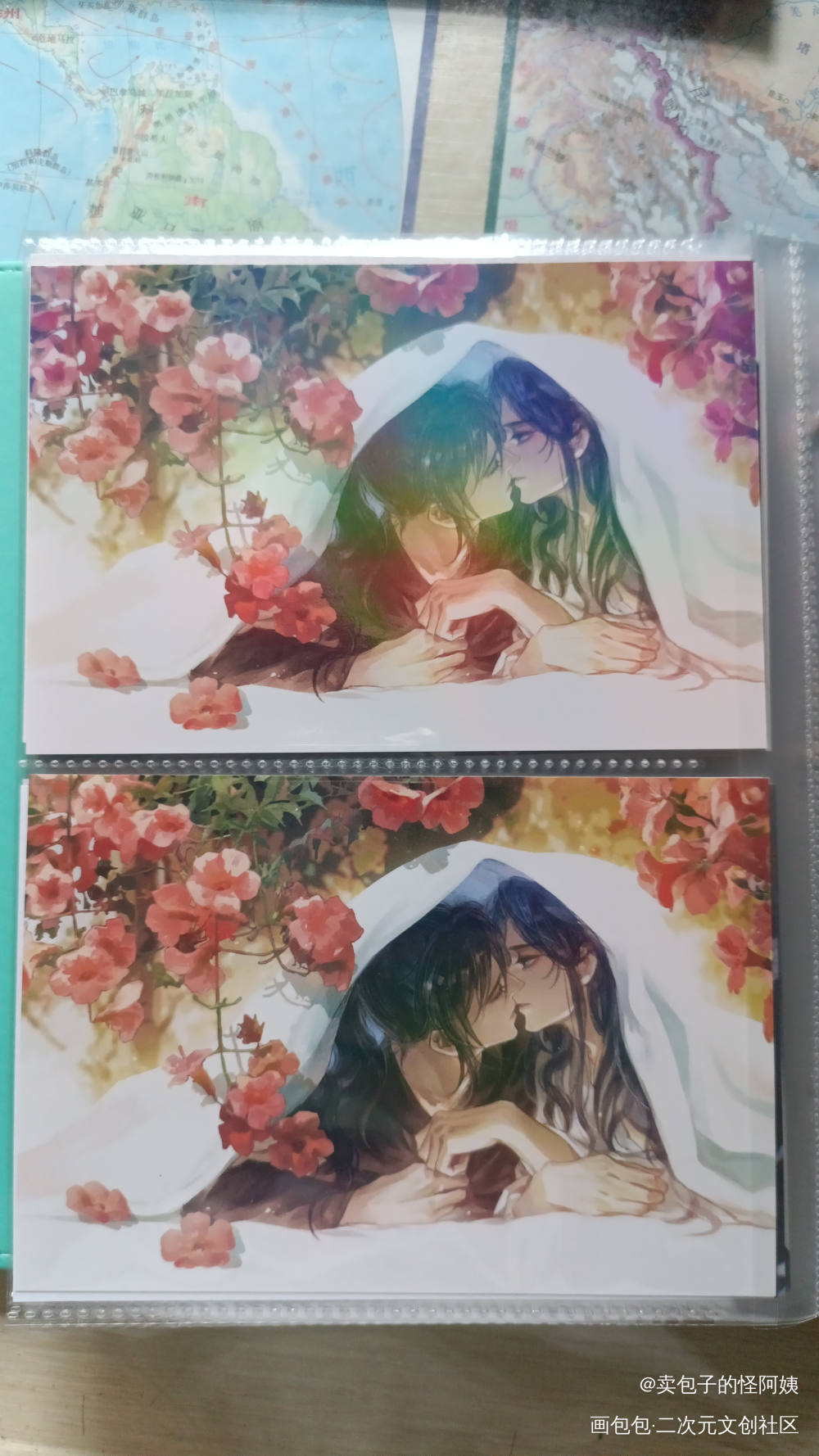 _二哈和他的白猫师尊授权返图绘画作品