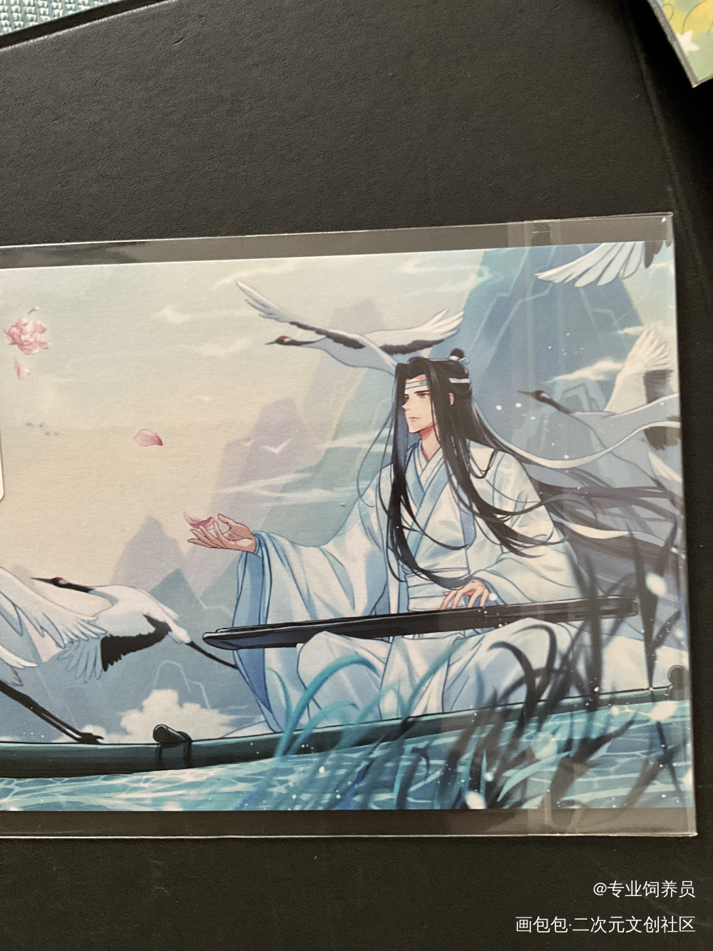 _魔道祖师无料返图绘画作品