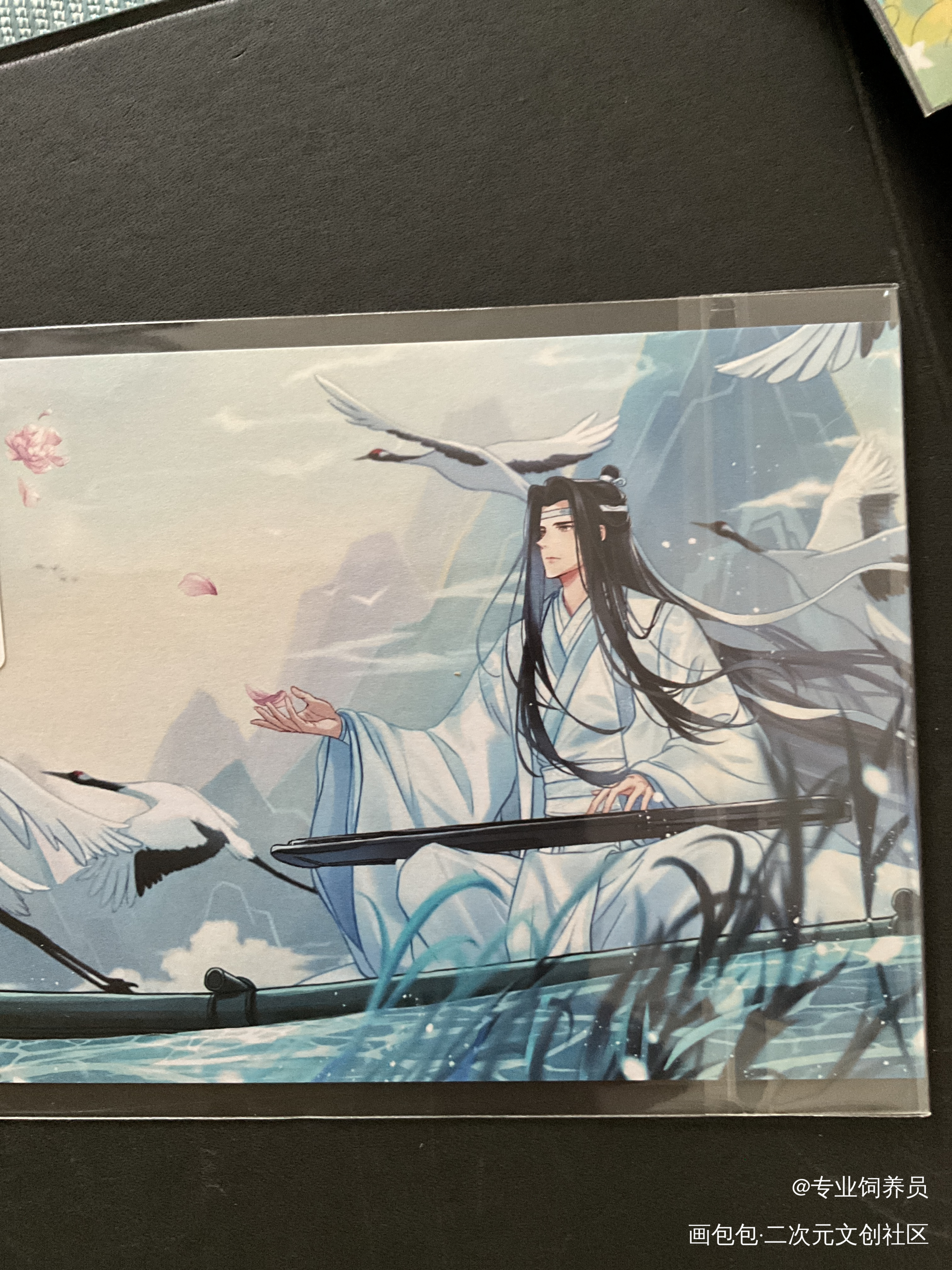 _魔道祖师无料返图绘画作品