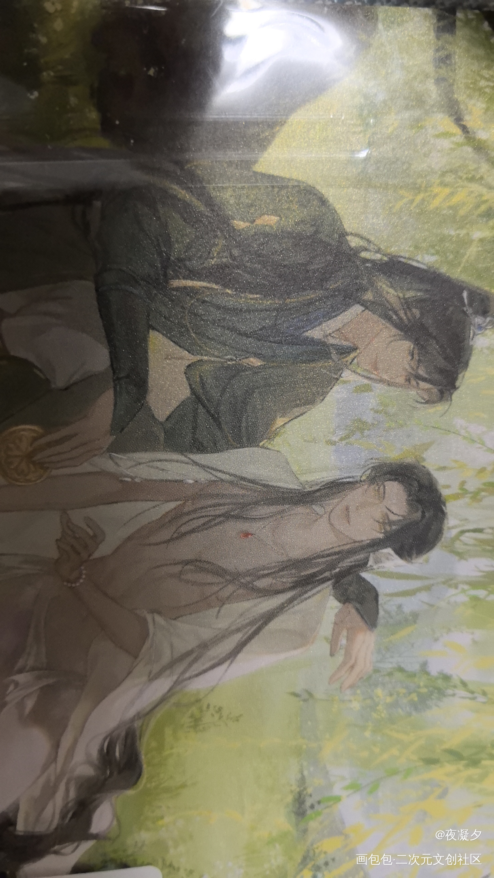 _二哈和他的白猫师尊无料返图绘画作品