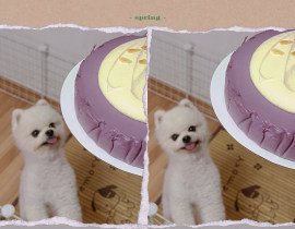 🐕_绘画作品