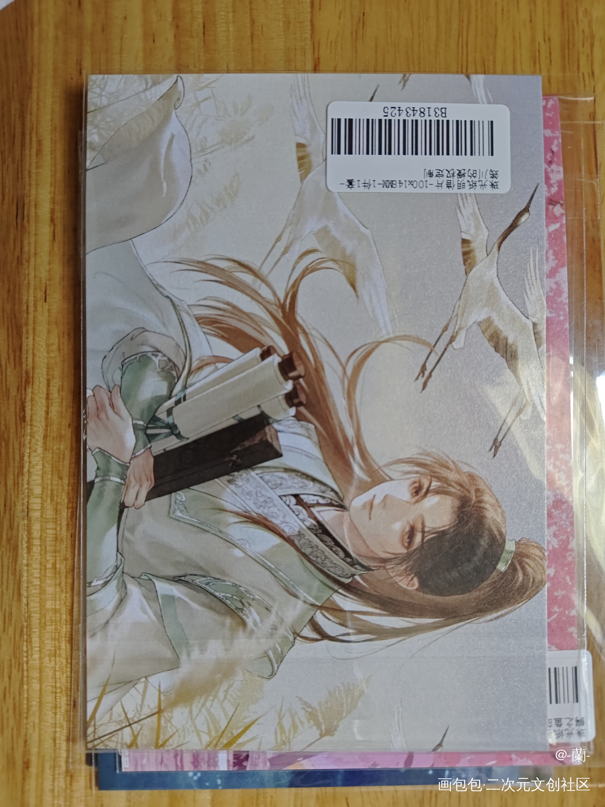 _人渣反派自救系统授权返图绘画作品